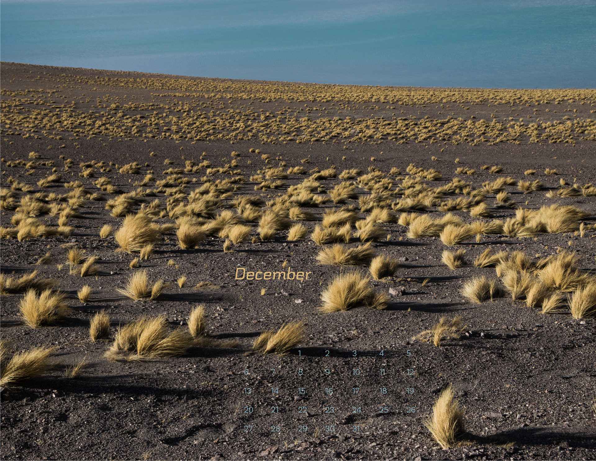 December: Dunes, Lauca National Park