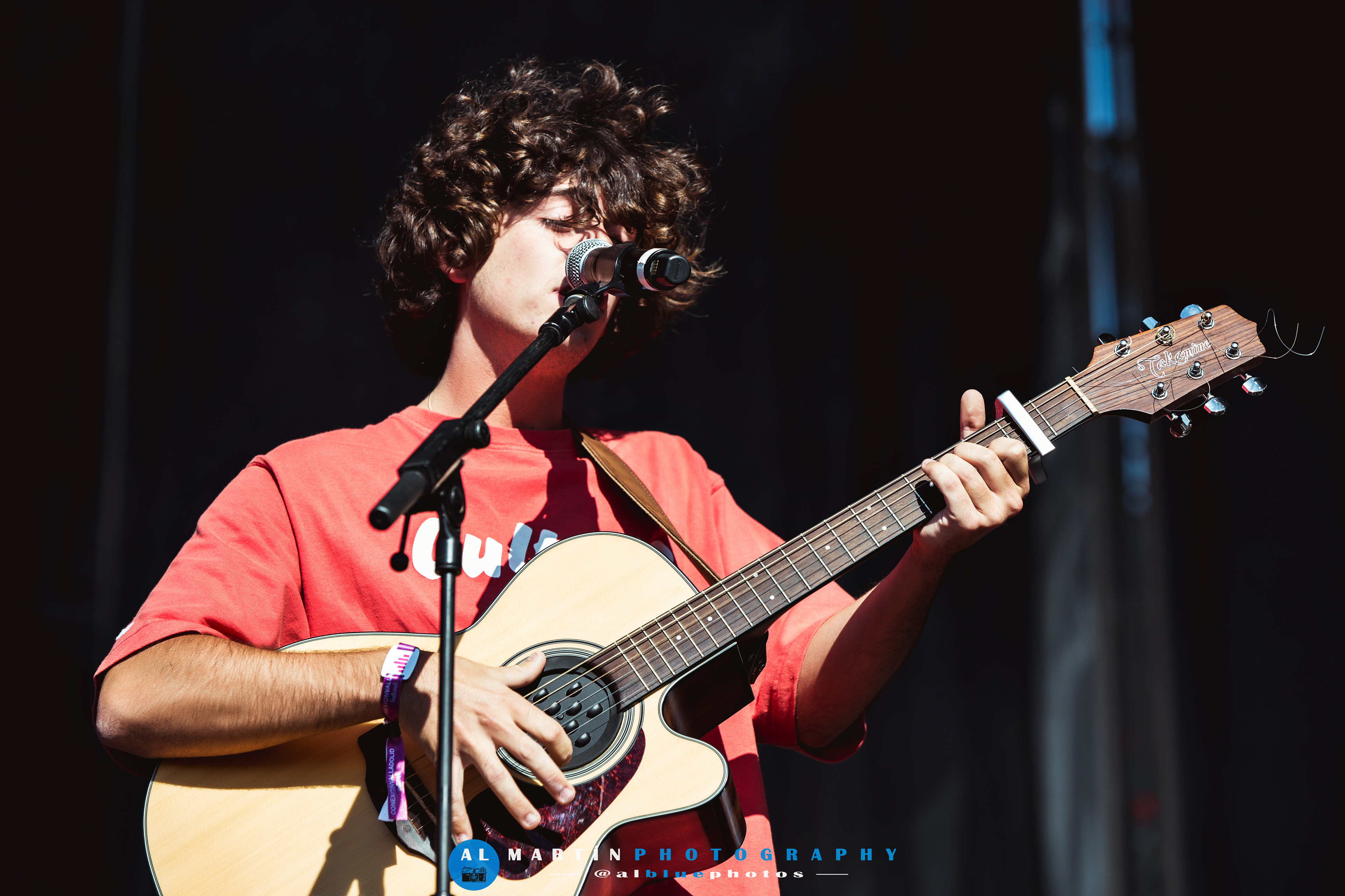 Guitarrica de la Fuente