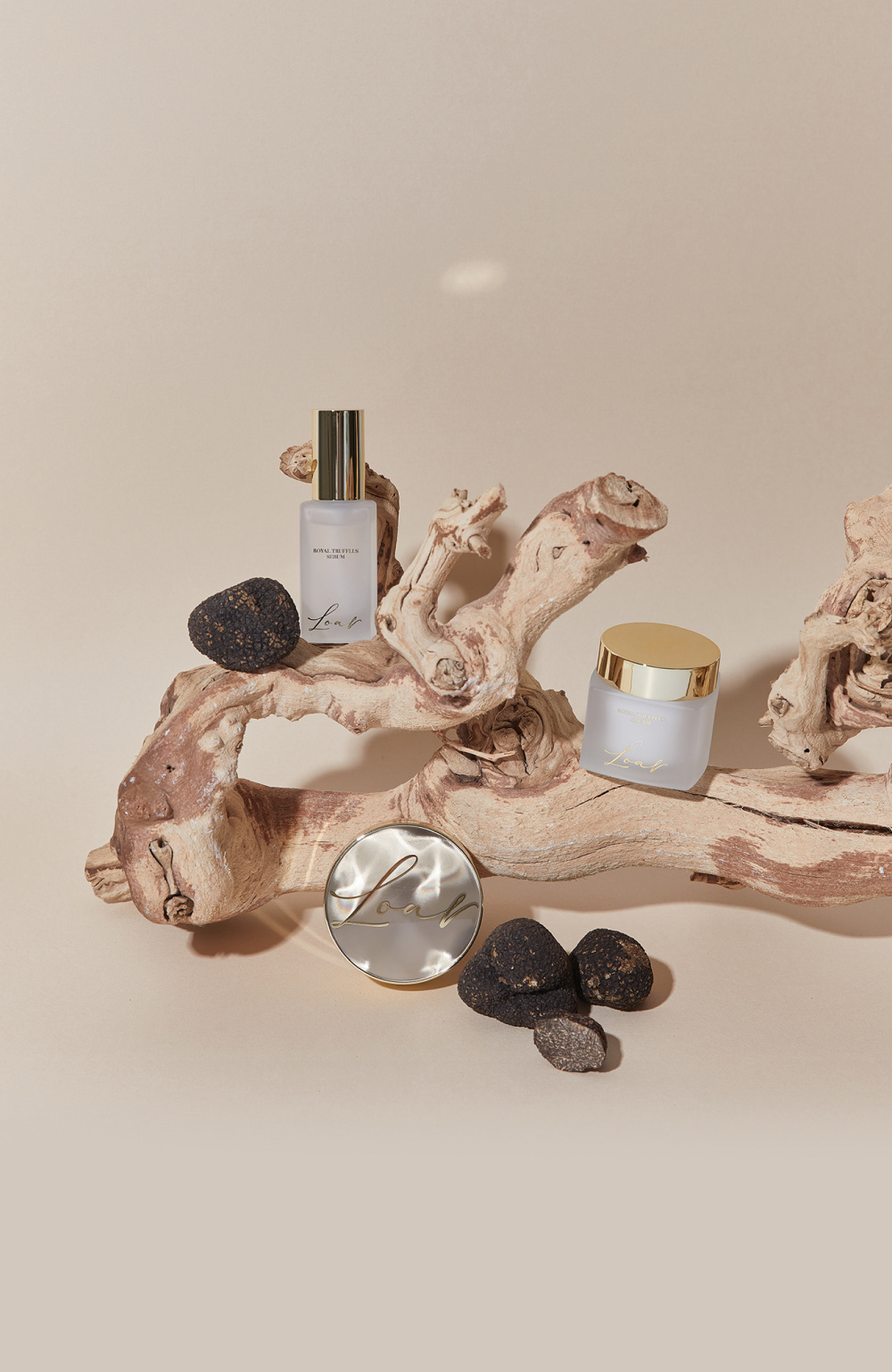 로아르 로얄 트러플러스 기초라인