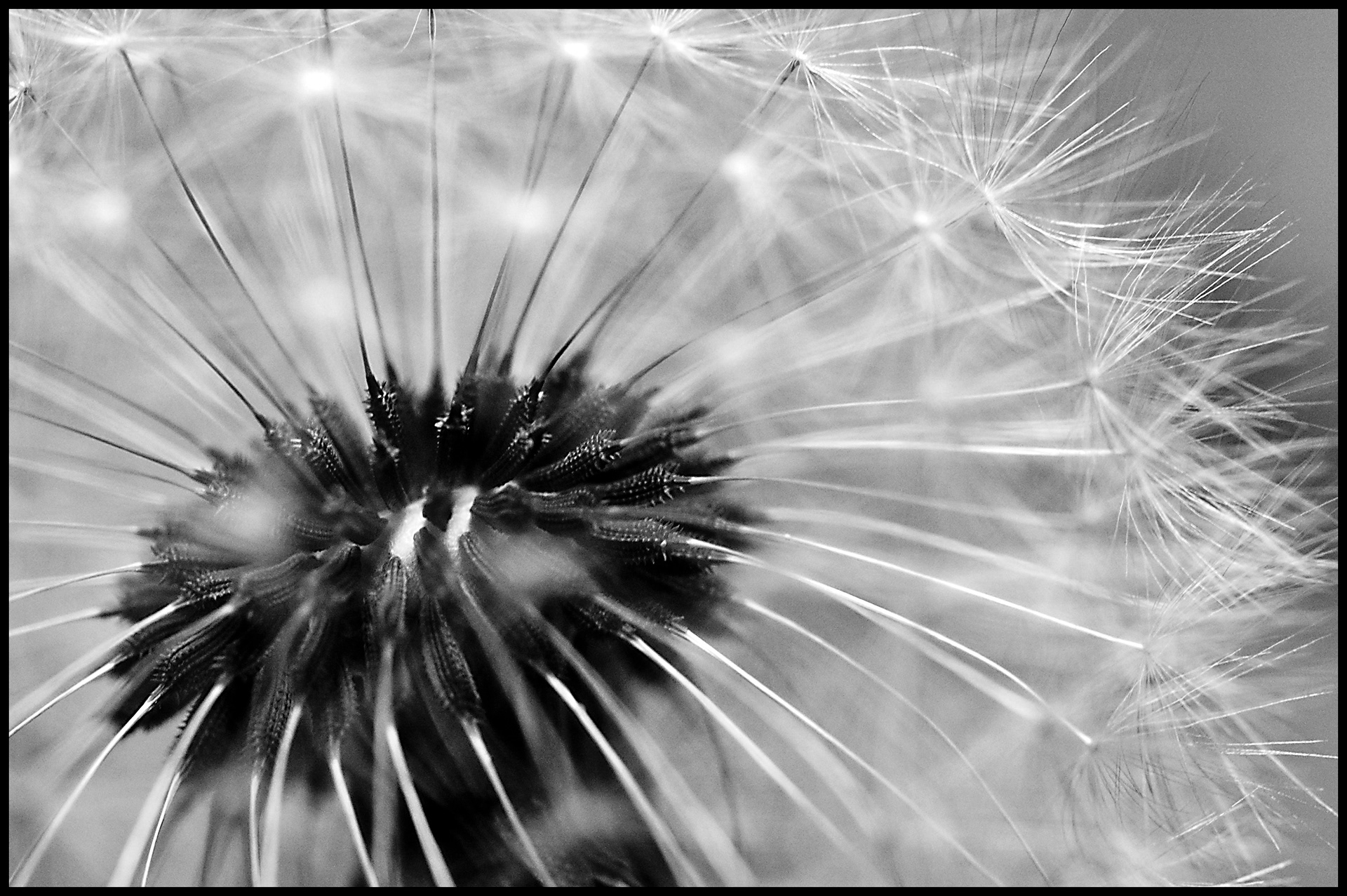 a moment in time