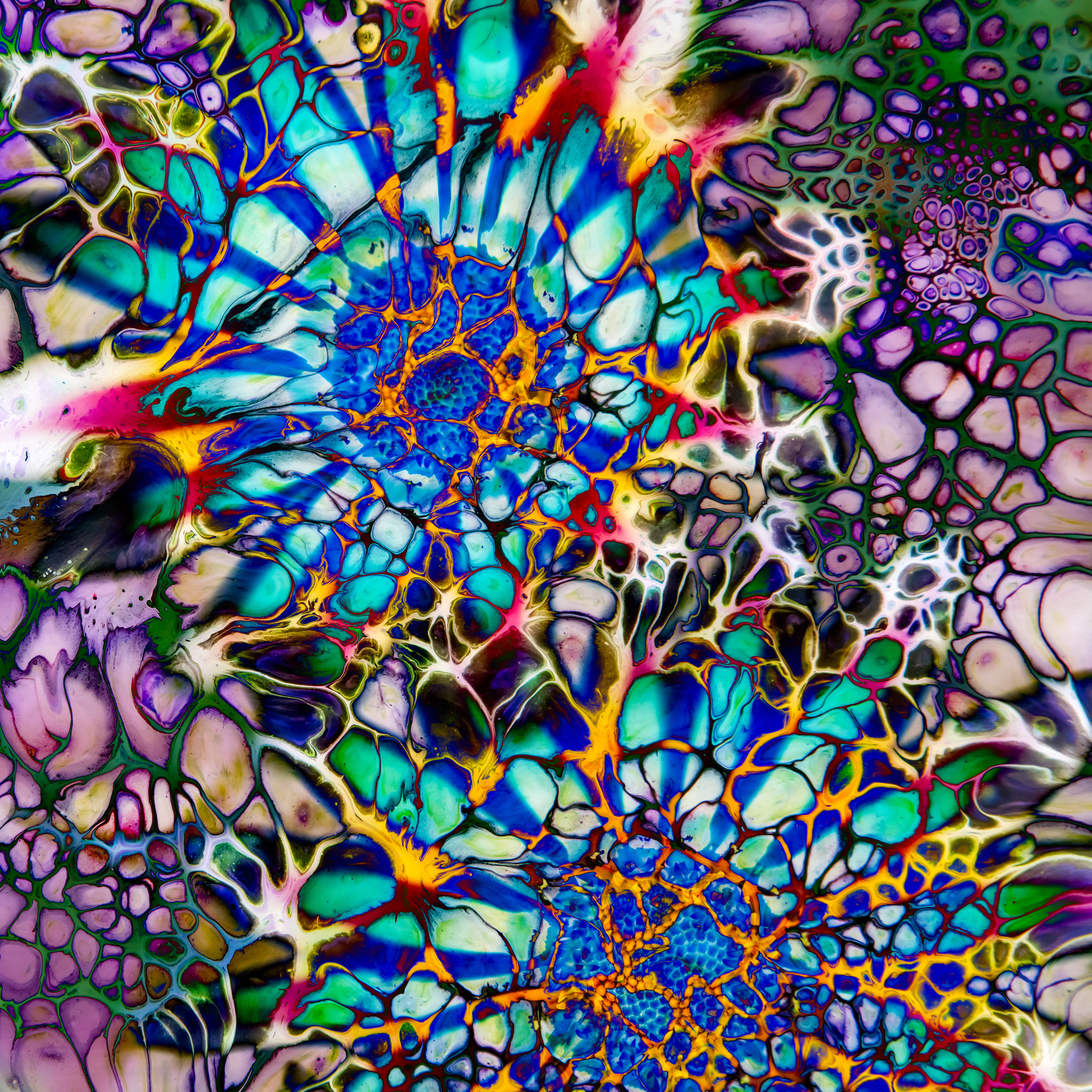 New Bloom 1