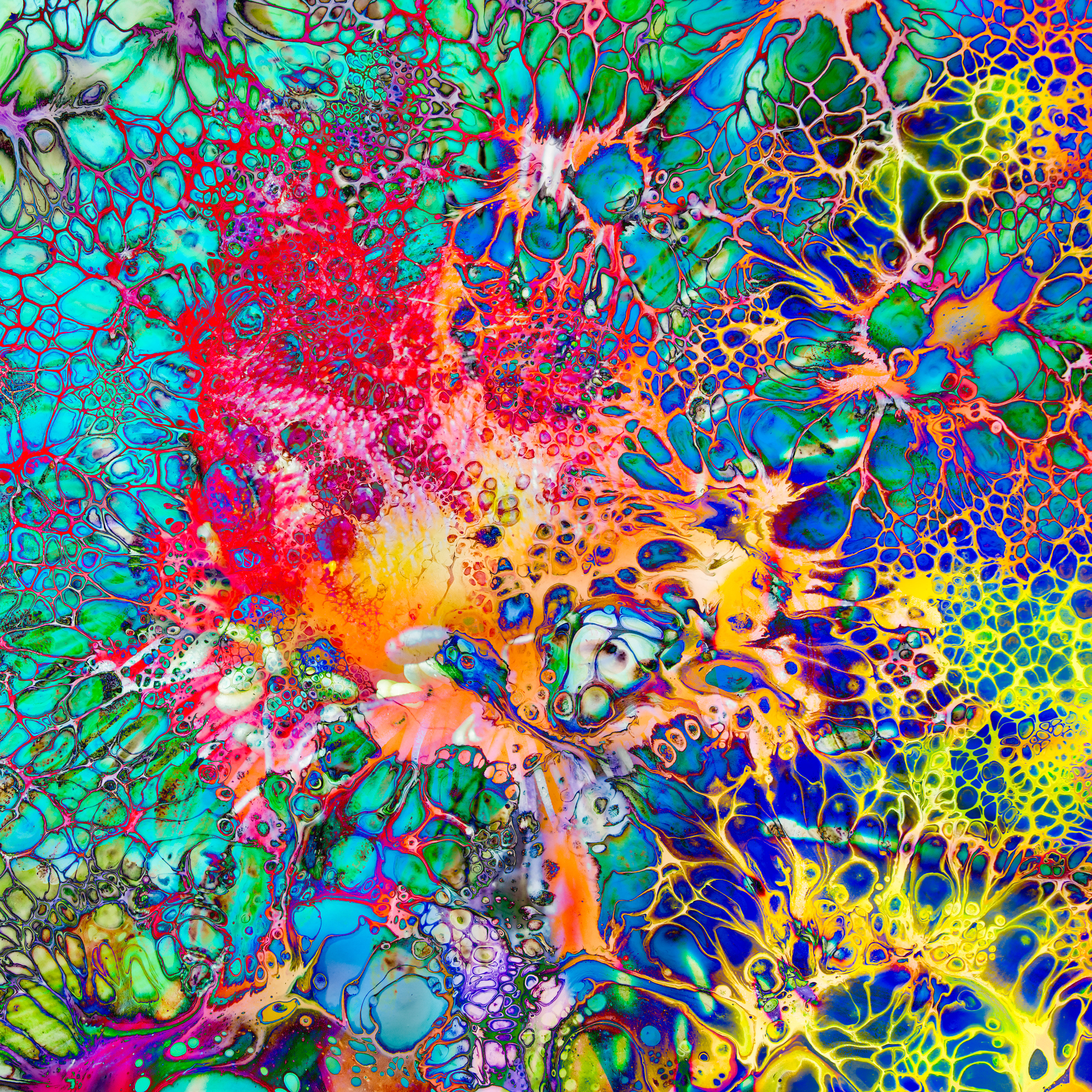 Insane In The Membrane