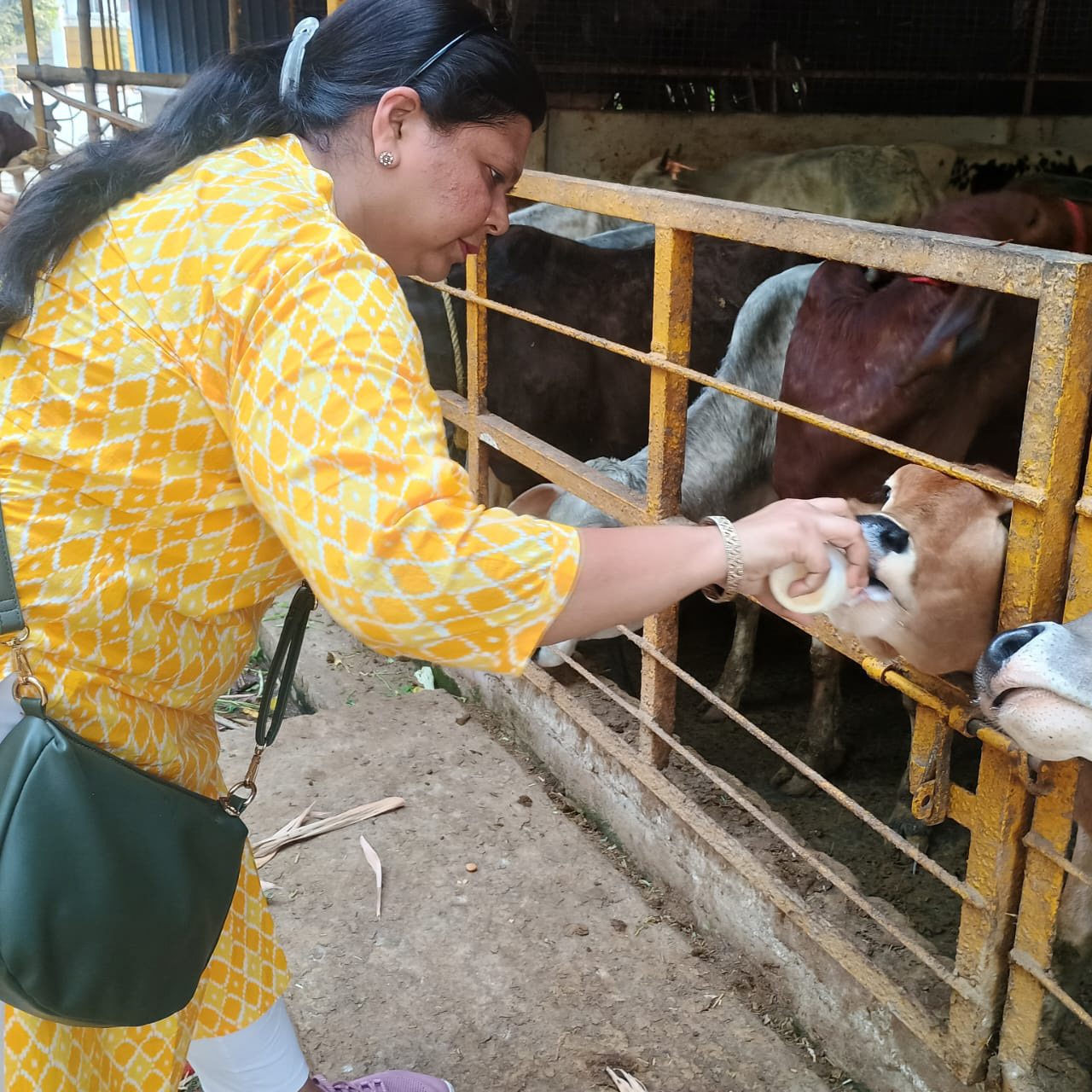 Milk feeding