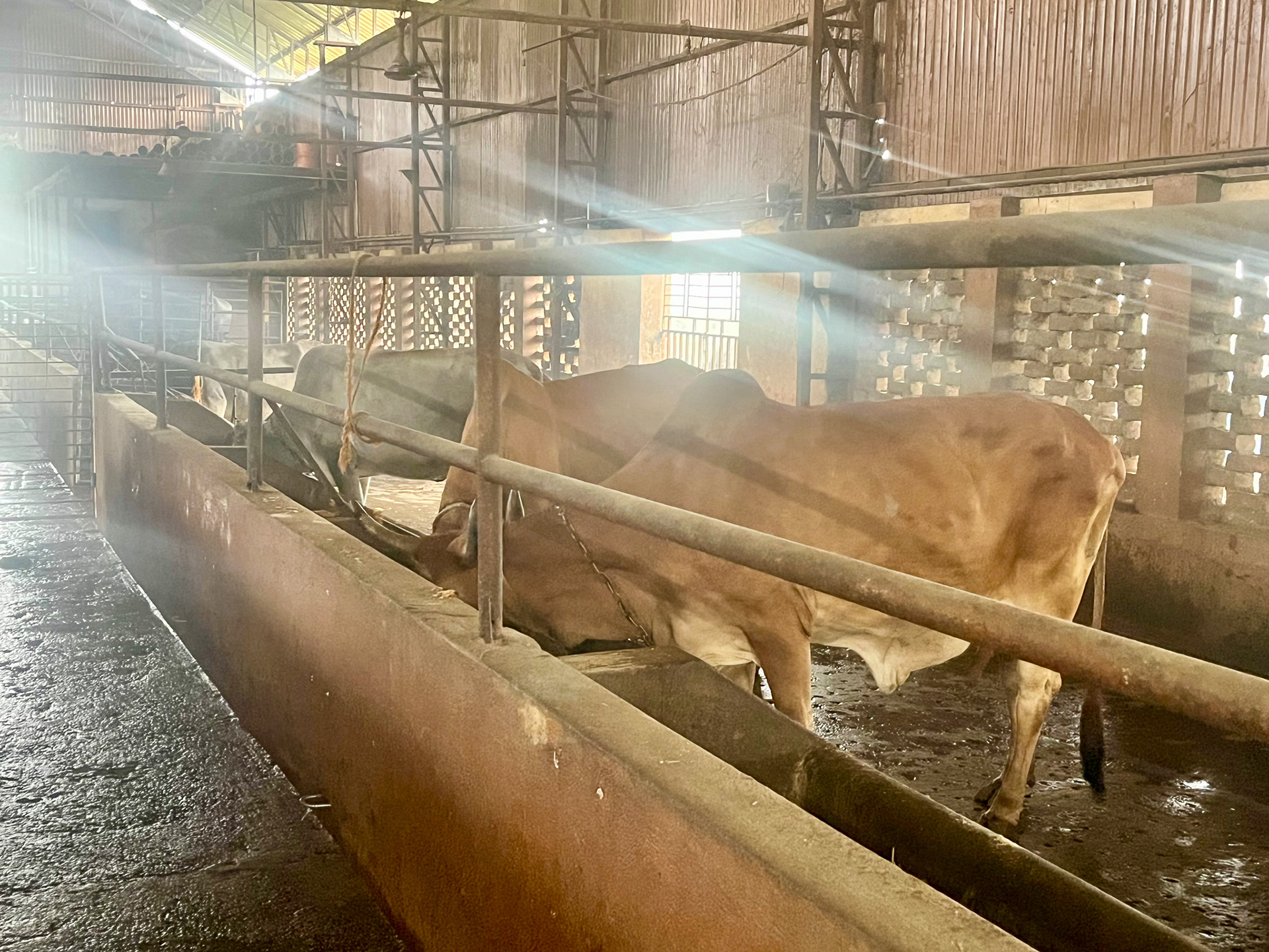 Ashari, Mukundapur, Kolkata