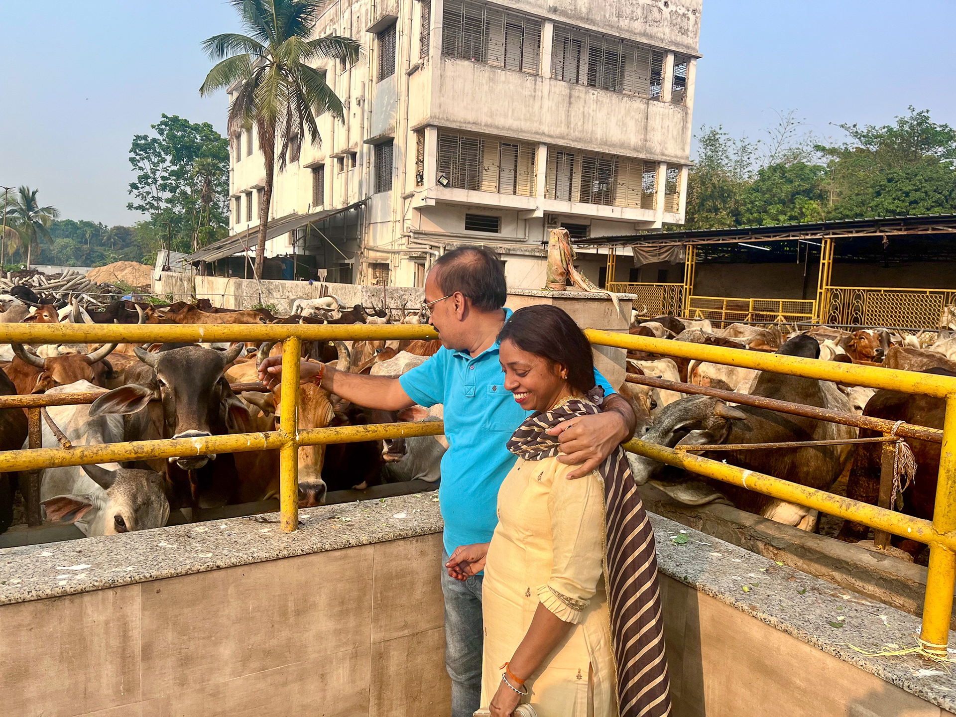Surabhi Sadan Gaushala, Kolkata