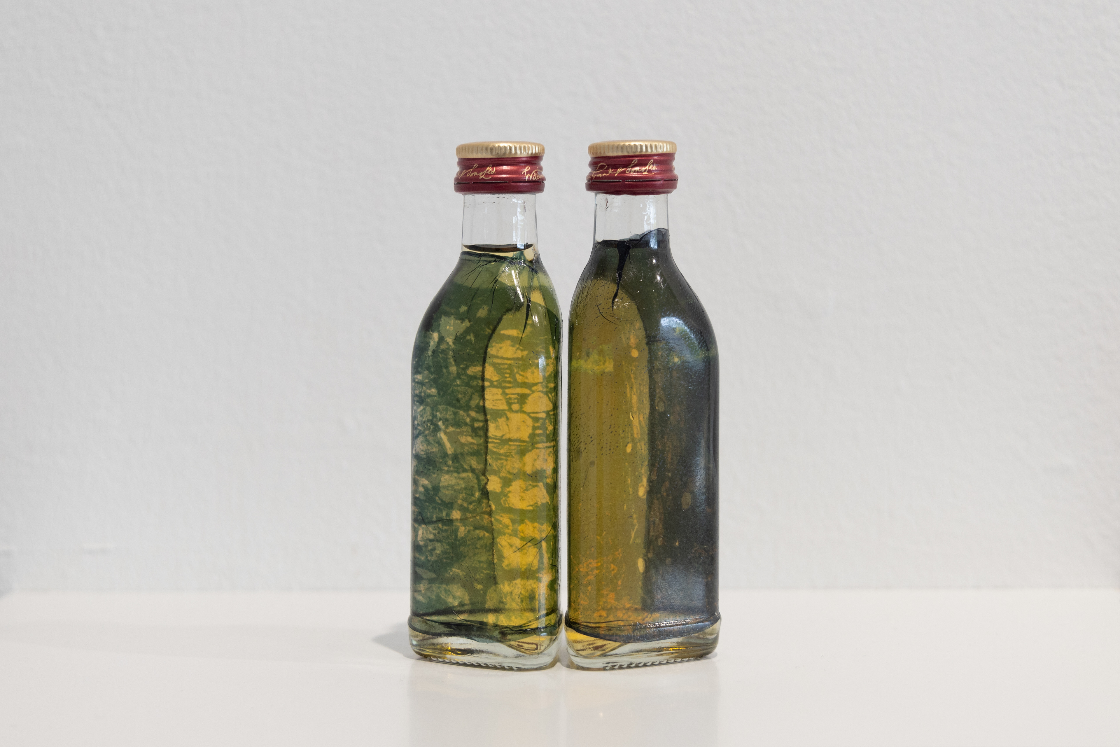  série I – deux bouteilles de Grants Family Reserve 5cl + transferts Polaroid (couleur).