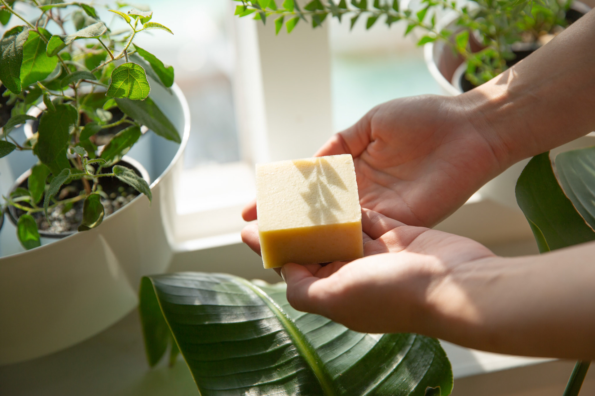 생활 - 설거지용 비누