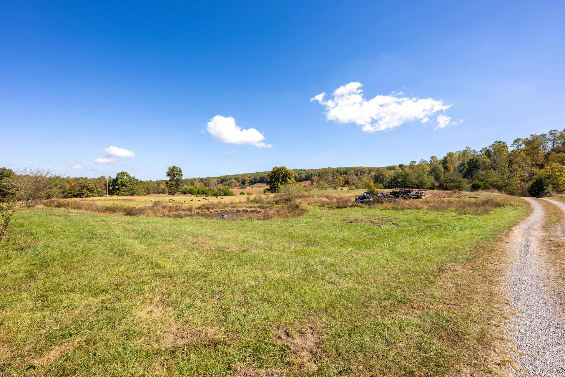 Lot#28