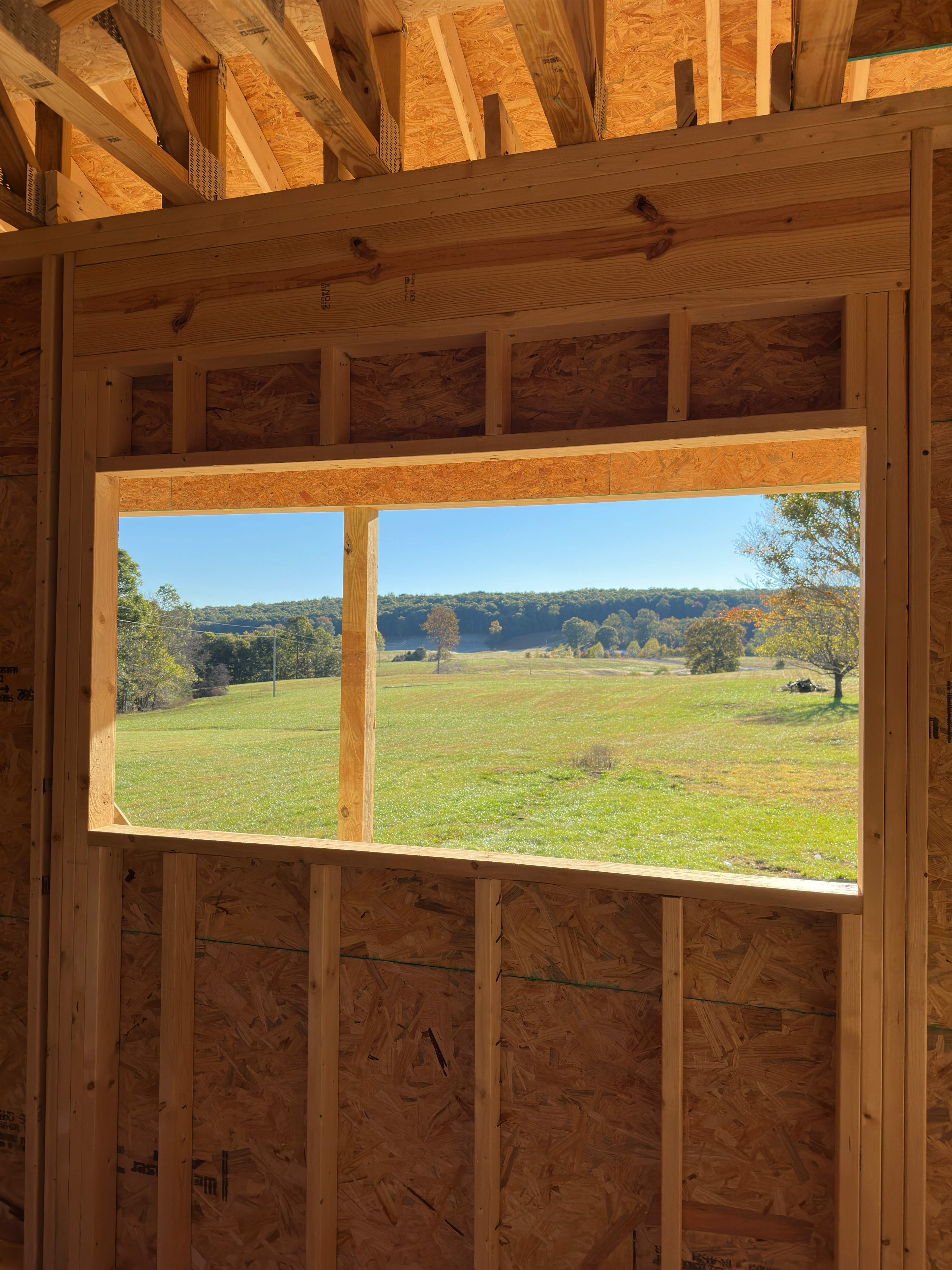 View from the Kitchen window