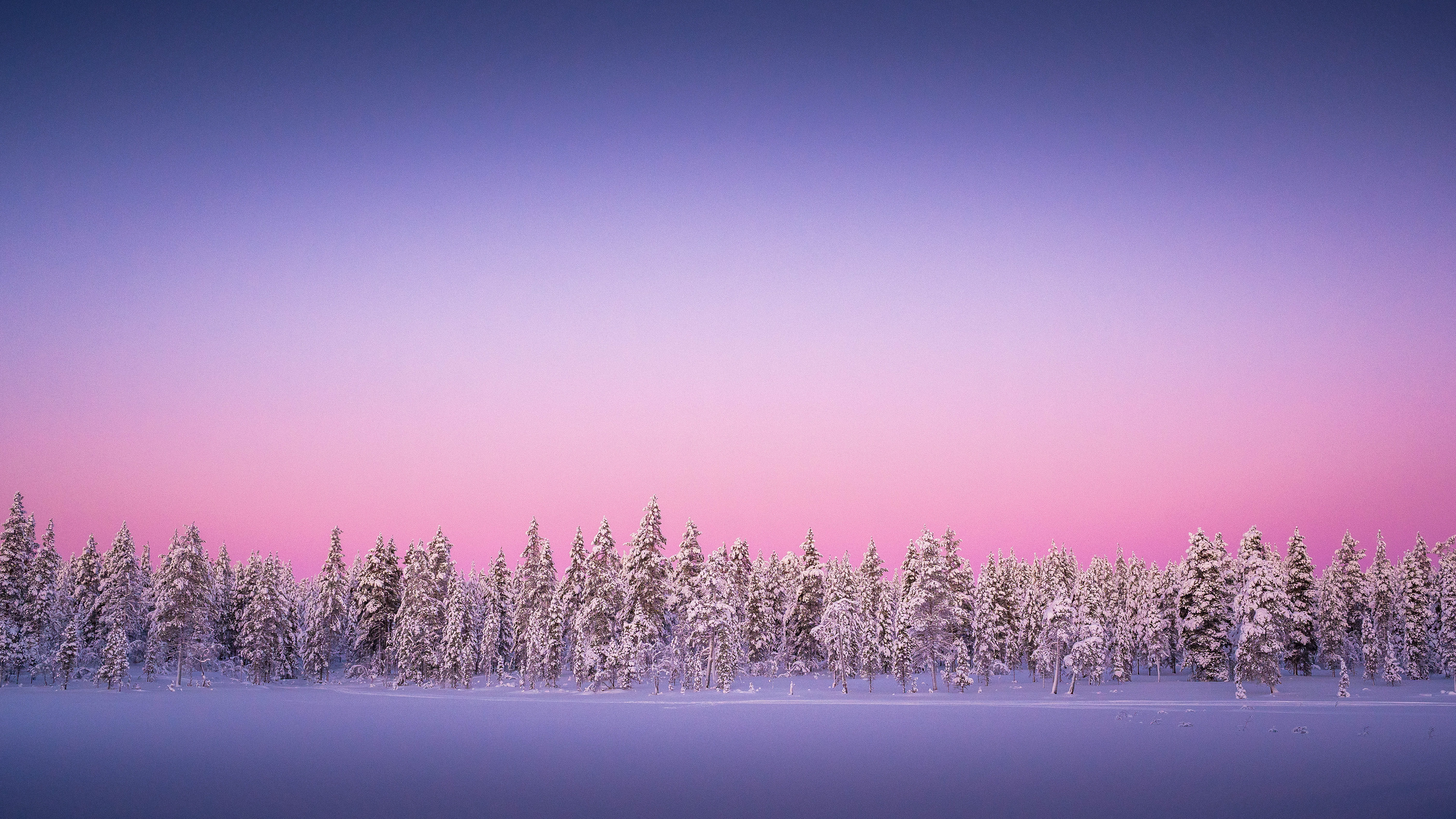 Arctic Circle - Finland 
