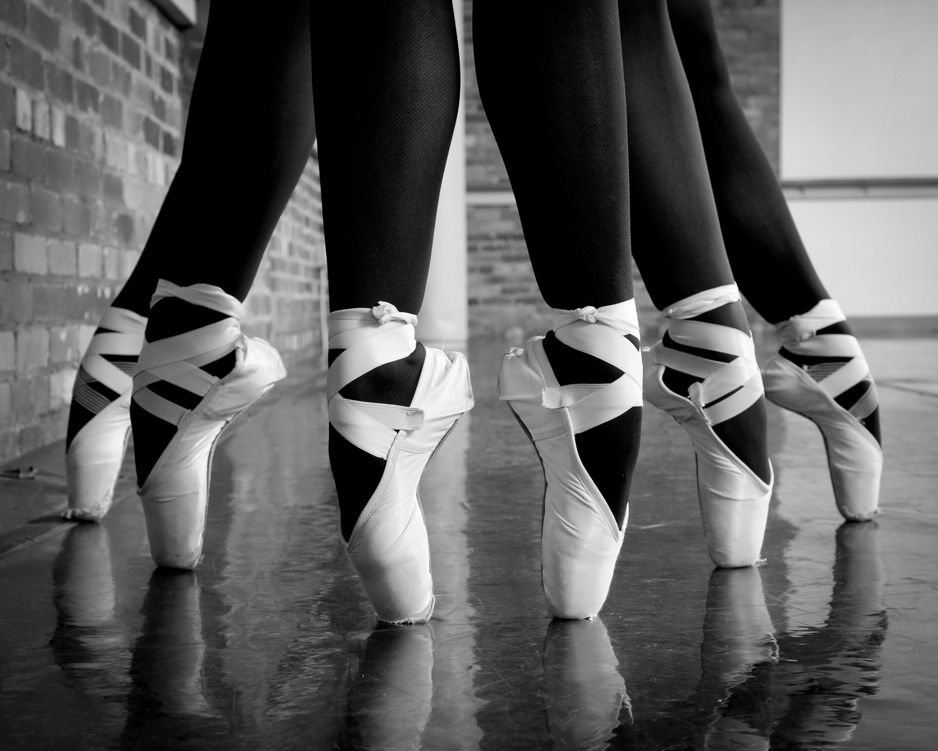 Spider Legs, Ballett Western Reserve