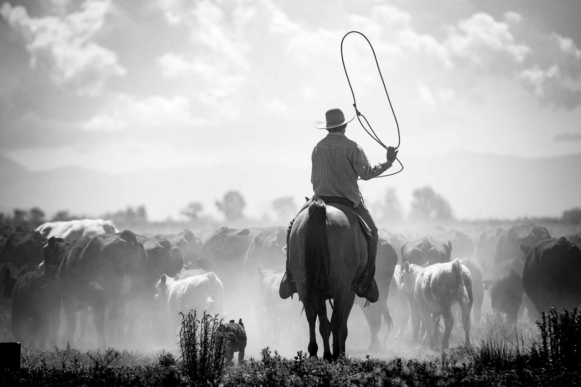 Western Round Up