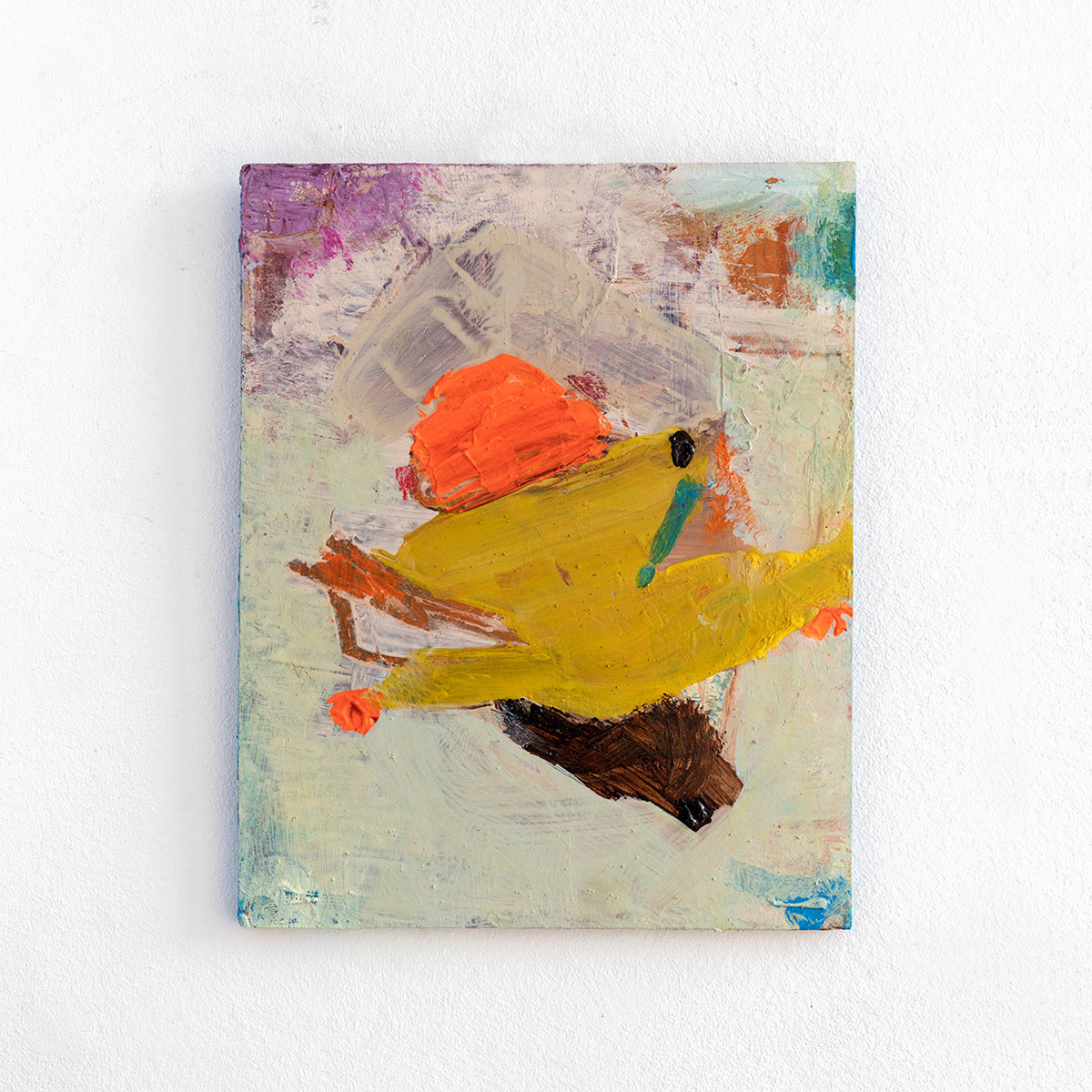 Spring in't Veld, 24/30cm, 2023