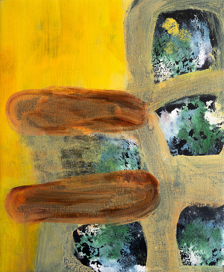 Through Coral Windows