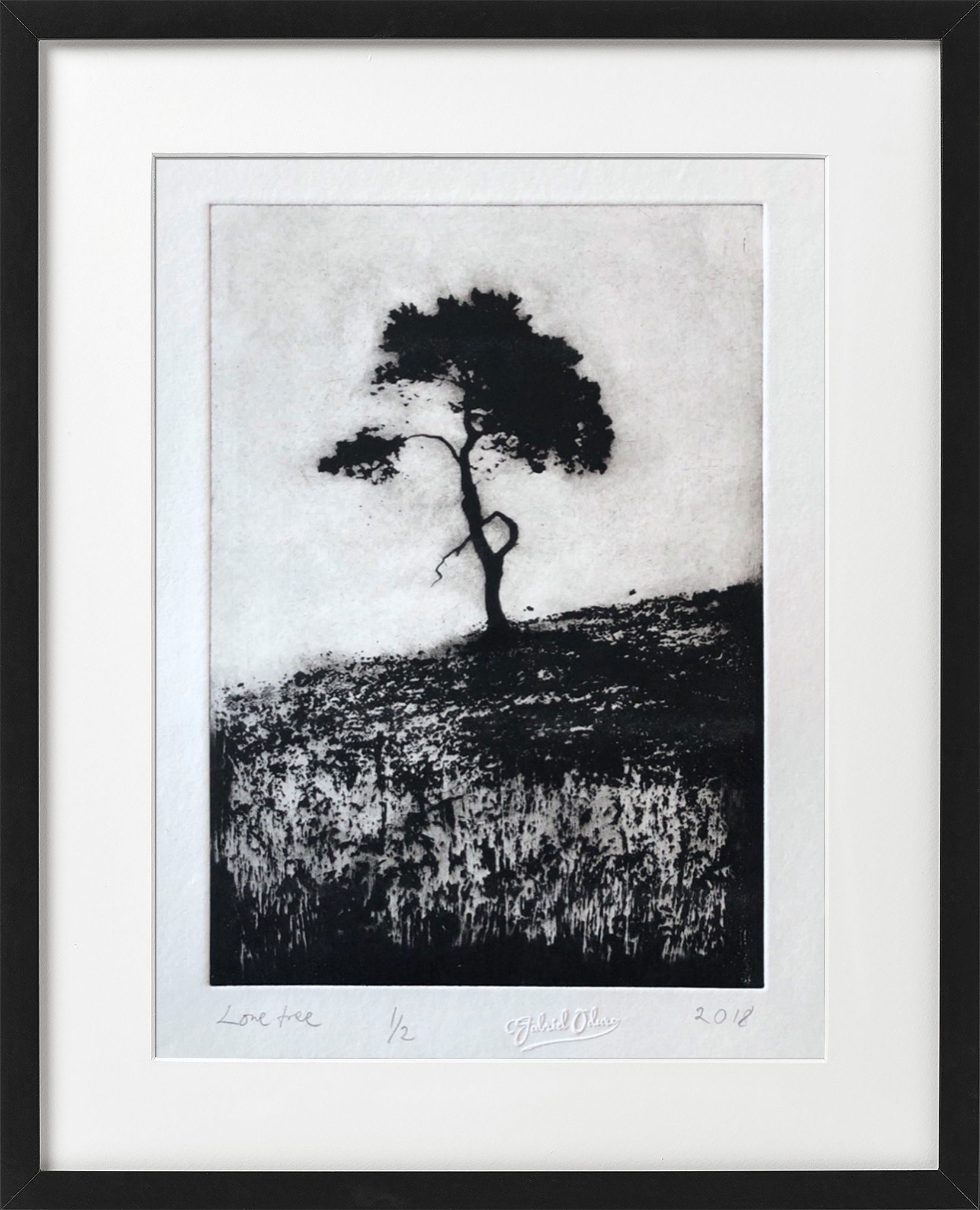 Lone tree - A4