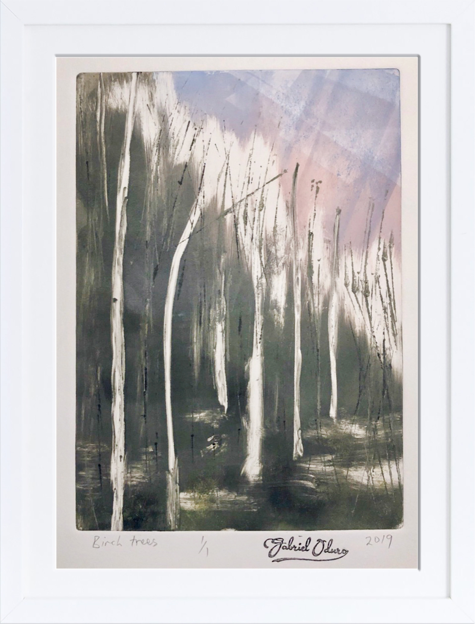Birch trees - A4