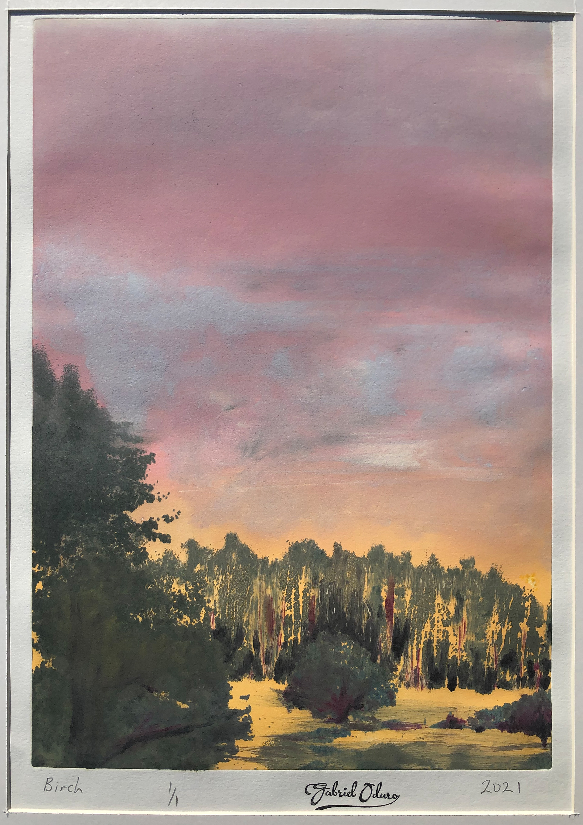 Birch - A3