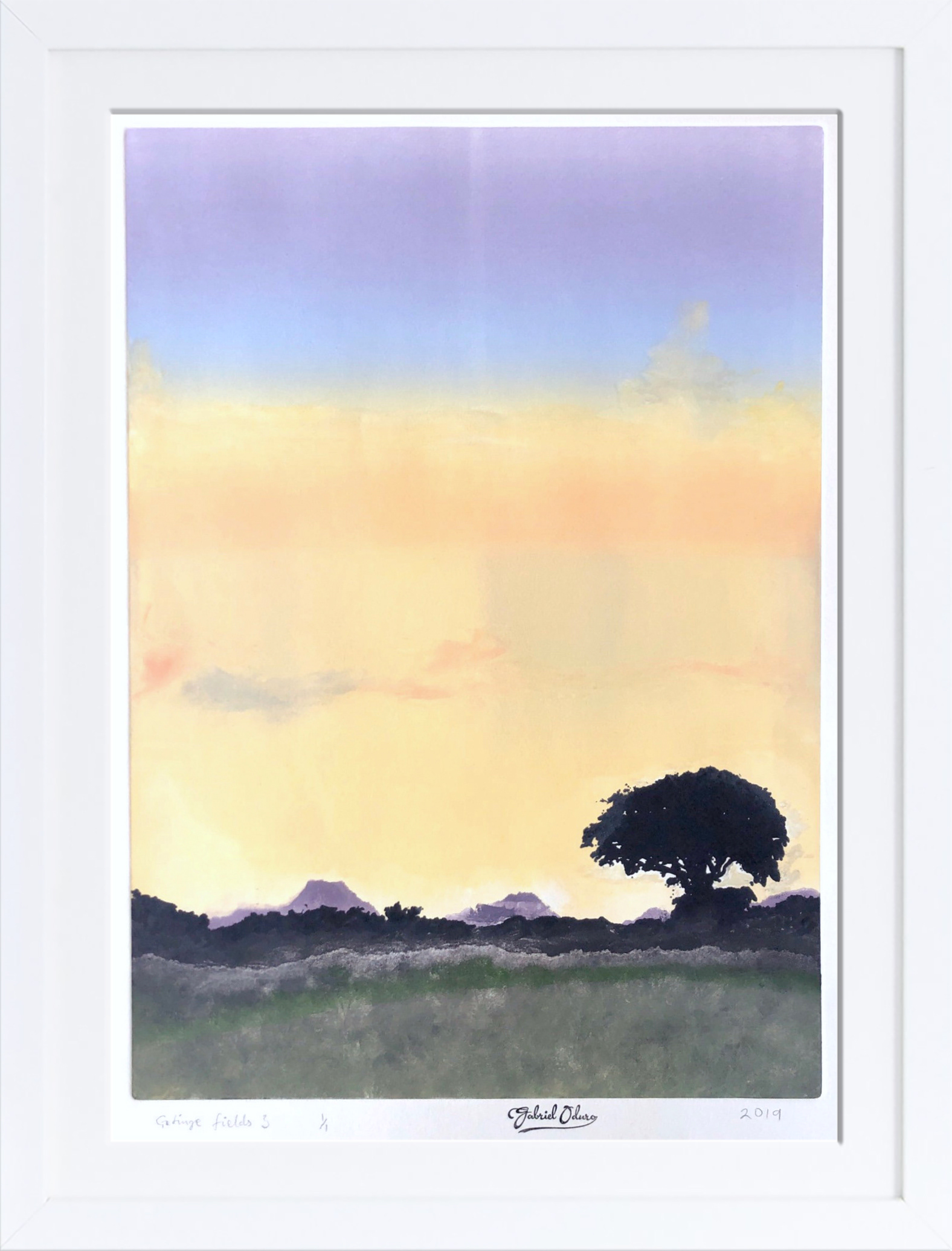 Getting fields 3 - A2