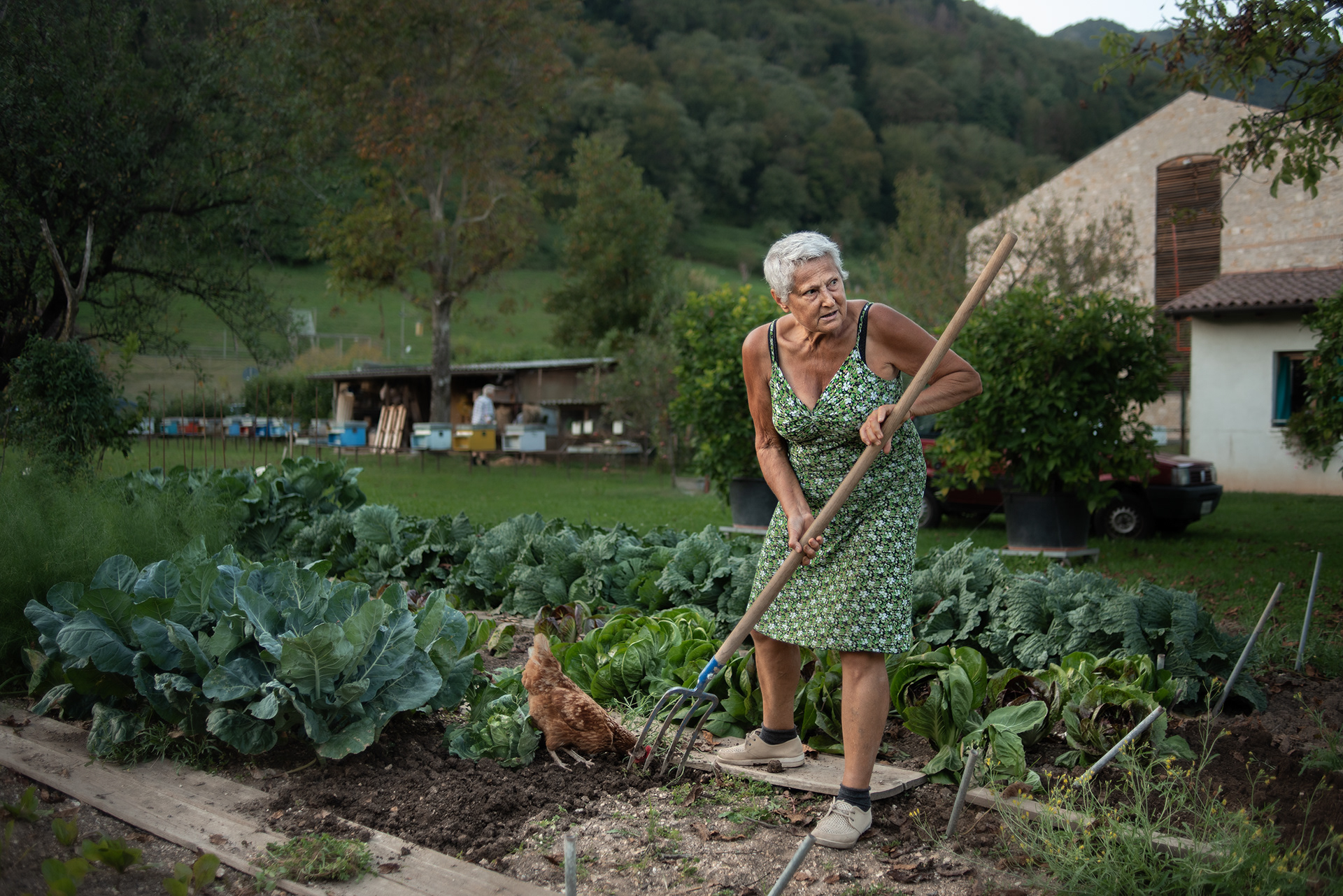 La signora Anicuta
