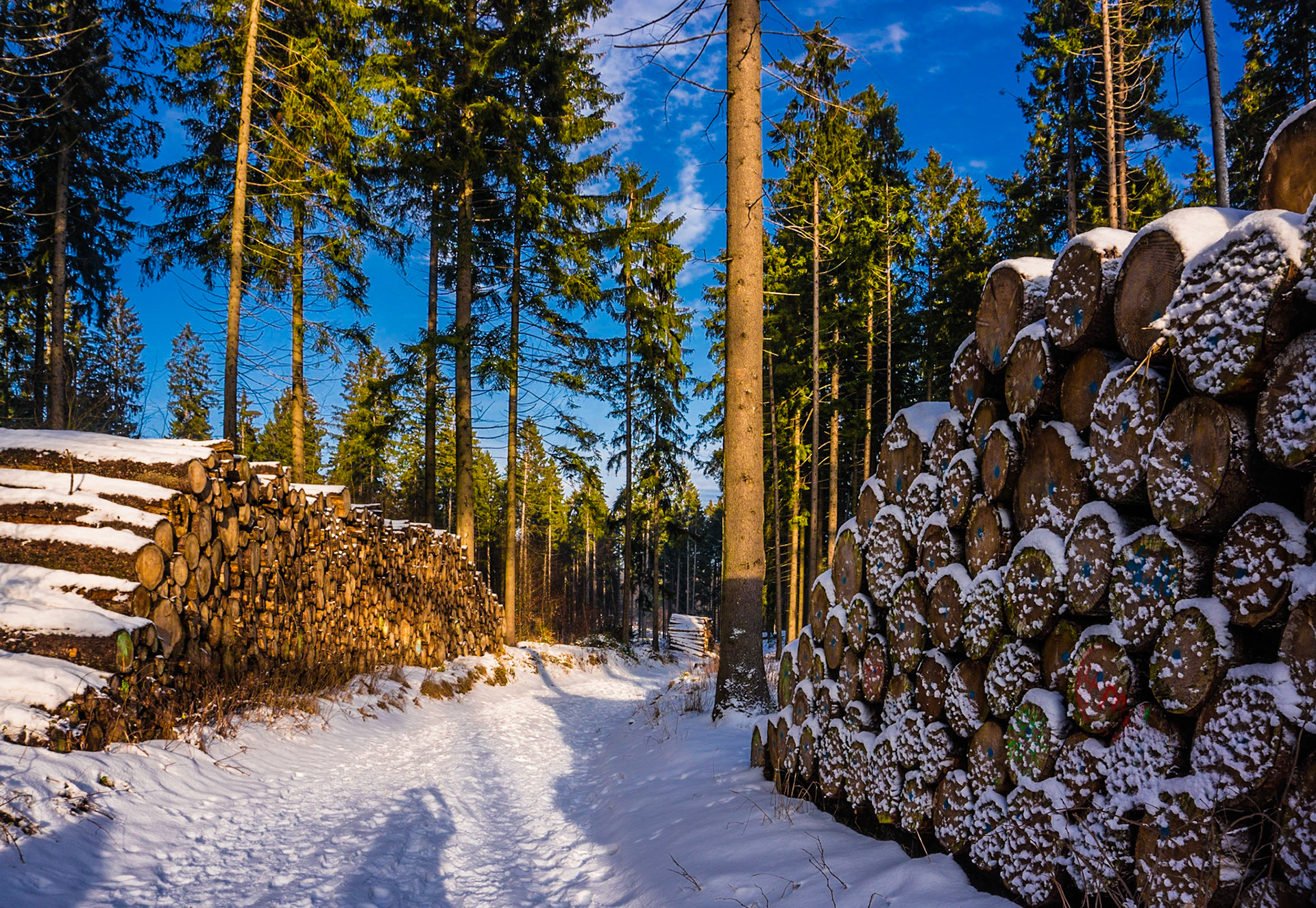 Winterwanderung