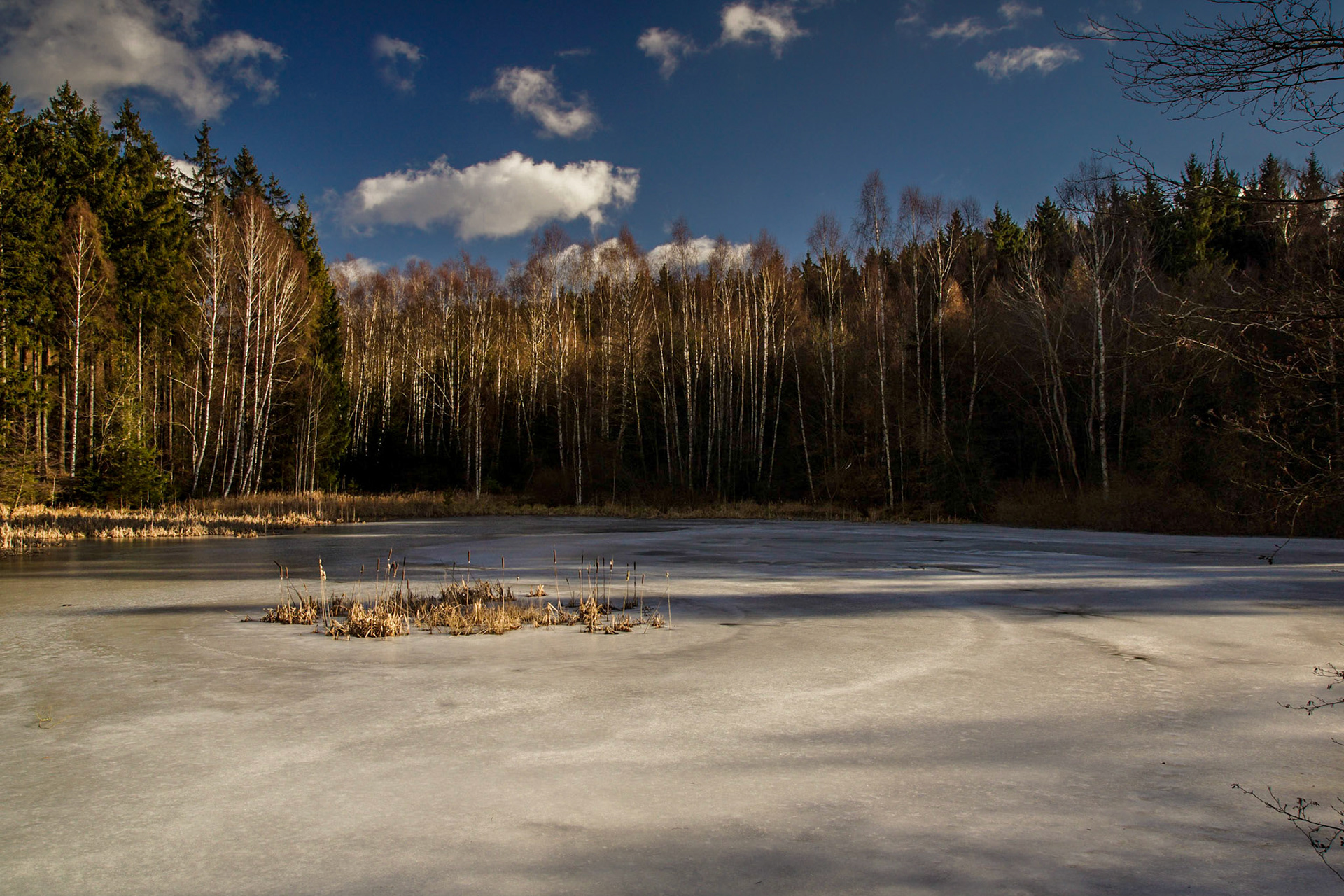 Eiszeit am Hasenteich