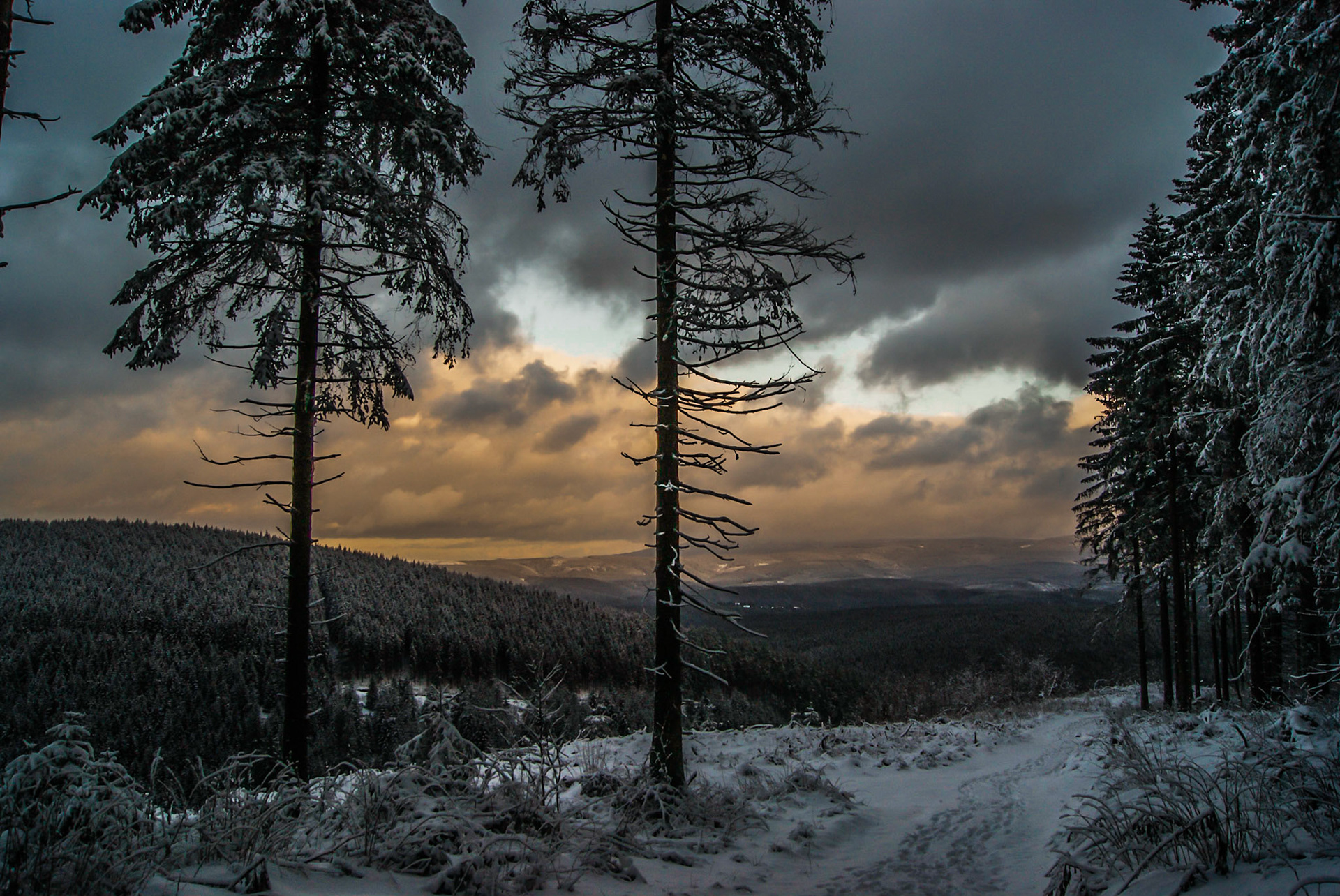 Winterlandschaft