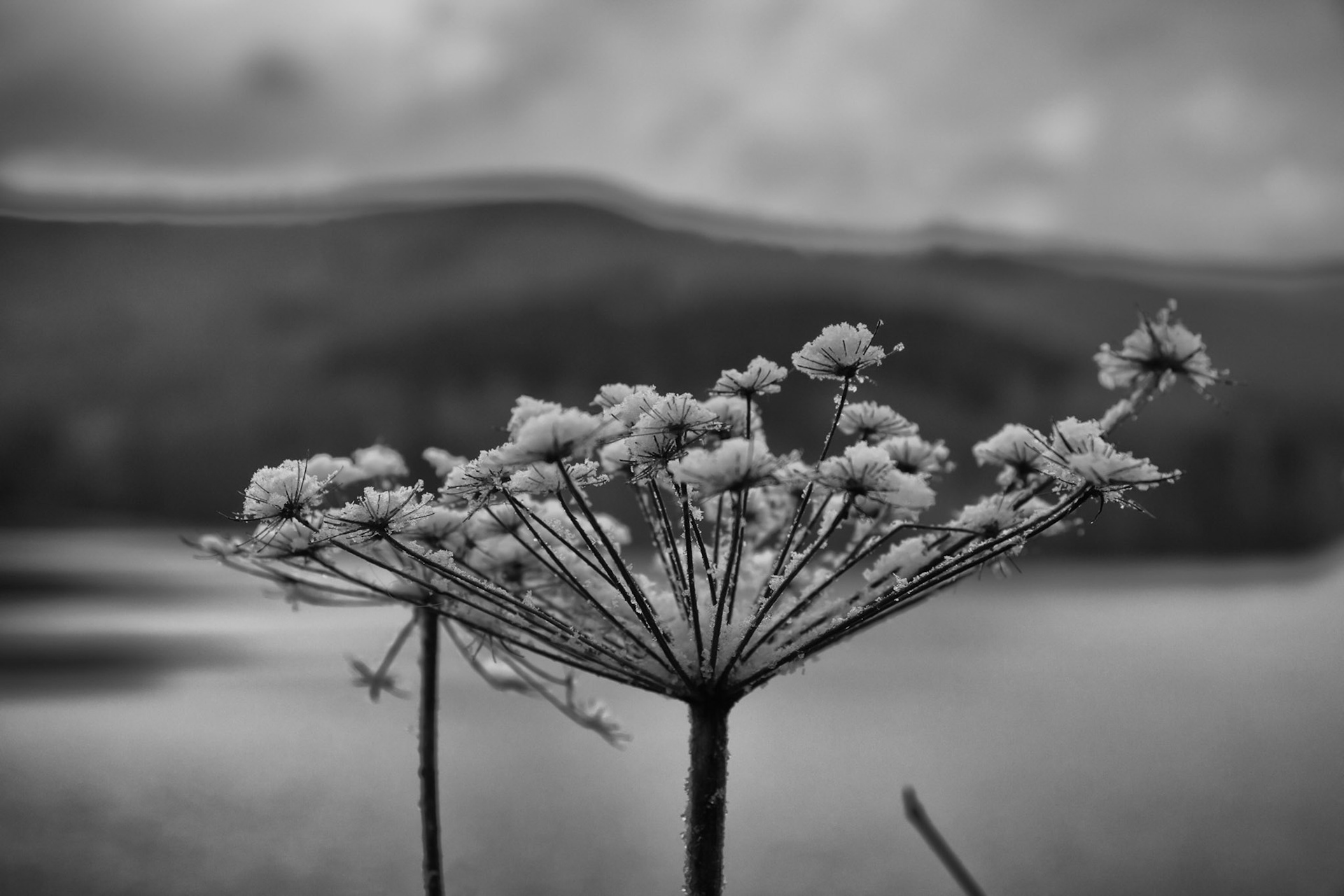 Schneereste...
