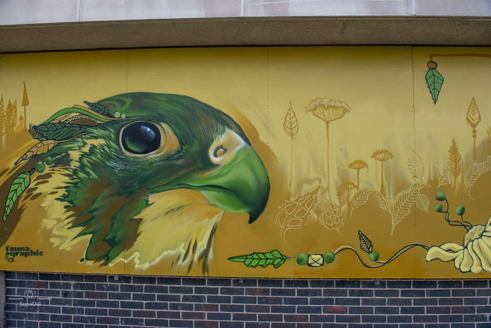 FAUNA GRAPHIC