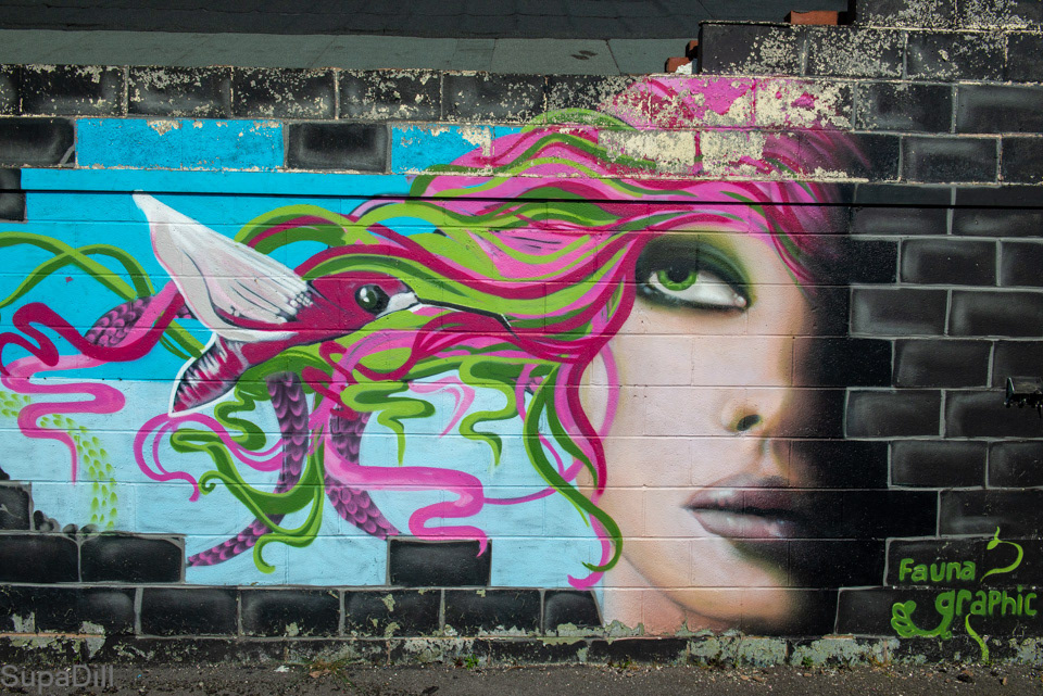 FAUNAGRAPHIC