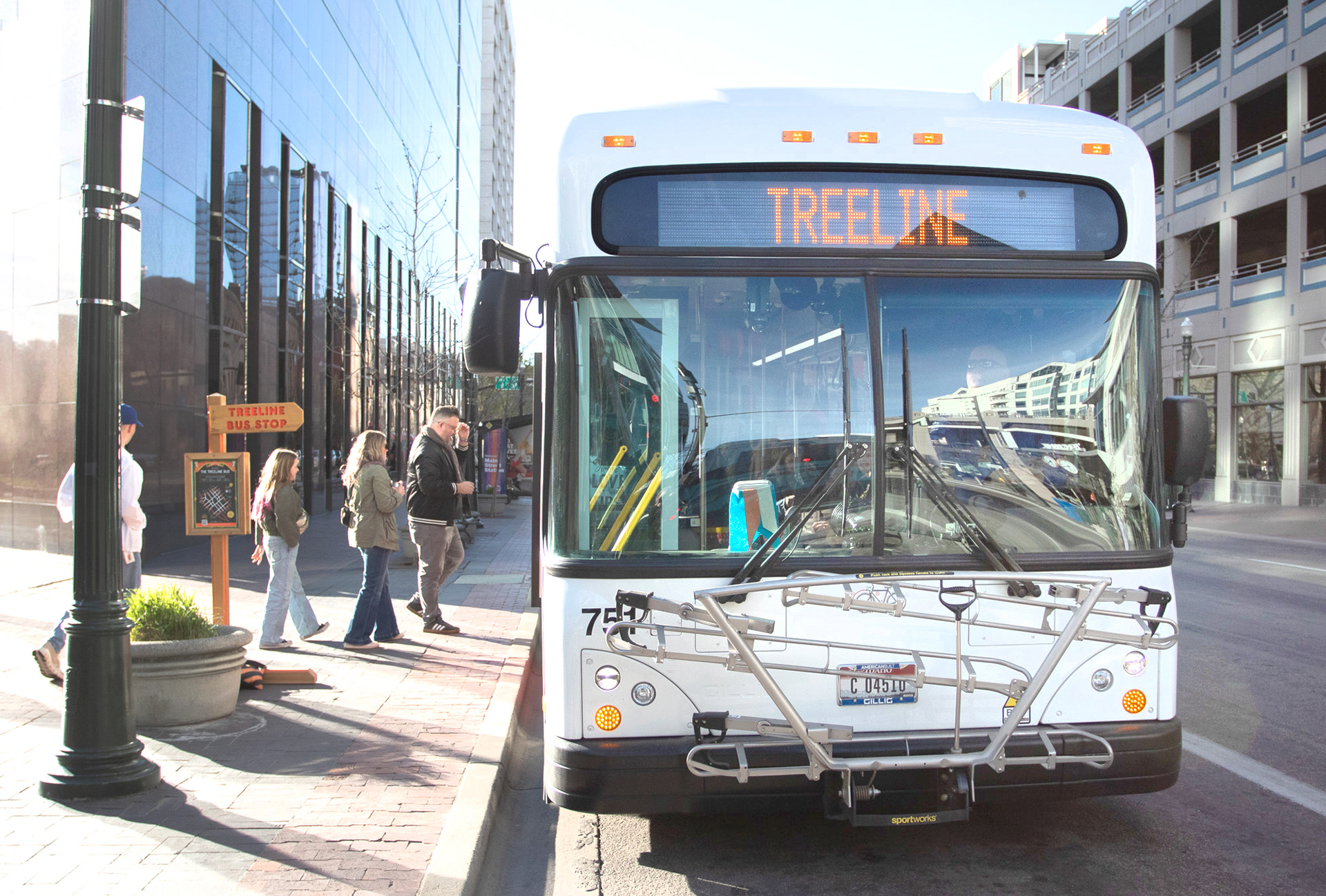 Treeline bus stop on Main St