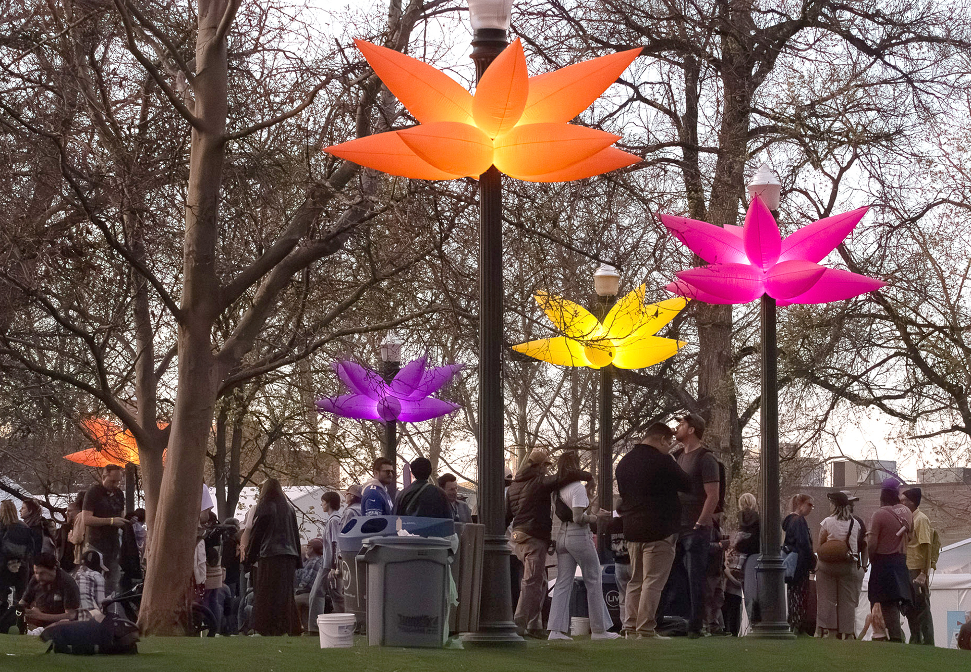 Flower bloom lights near the Band Shell and people mingling taking in the show