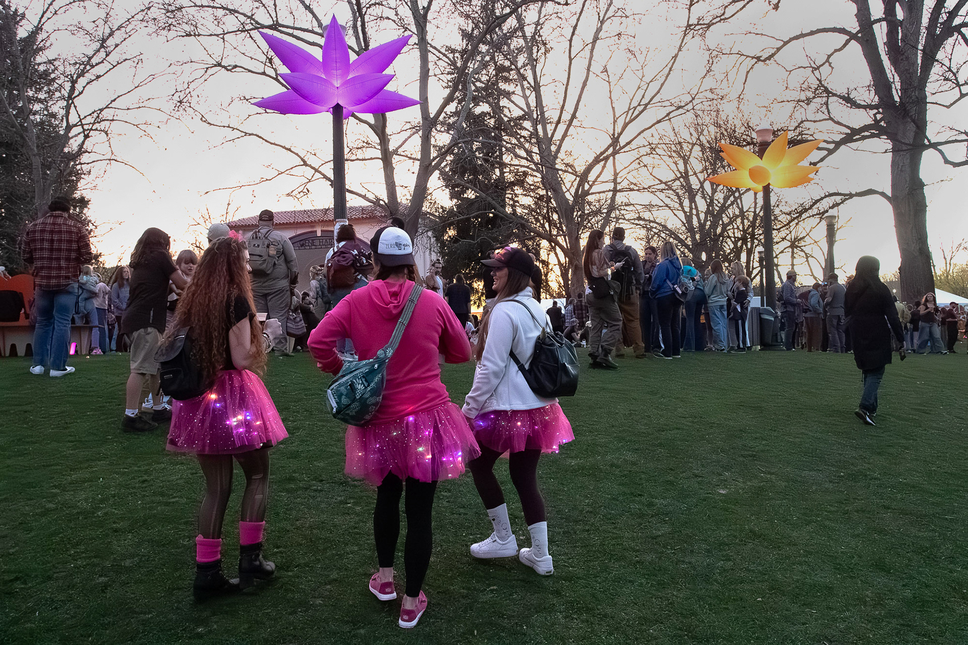 Flower bloom lights near the Band Shell and people mingling taking in the show