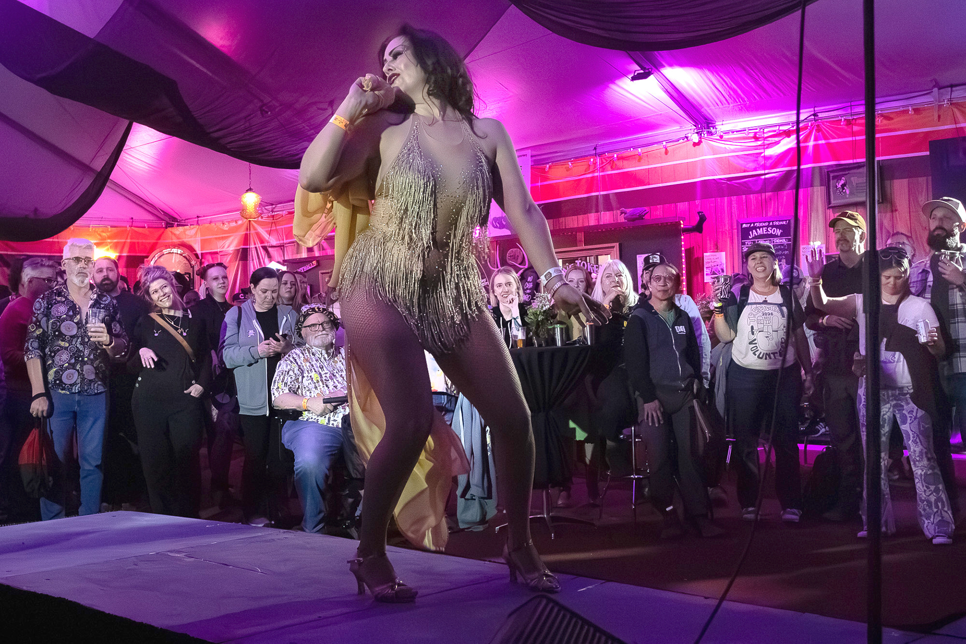 The crowd enjoying Dragfort show at Alefort 