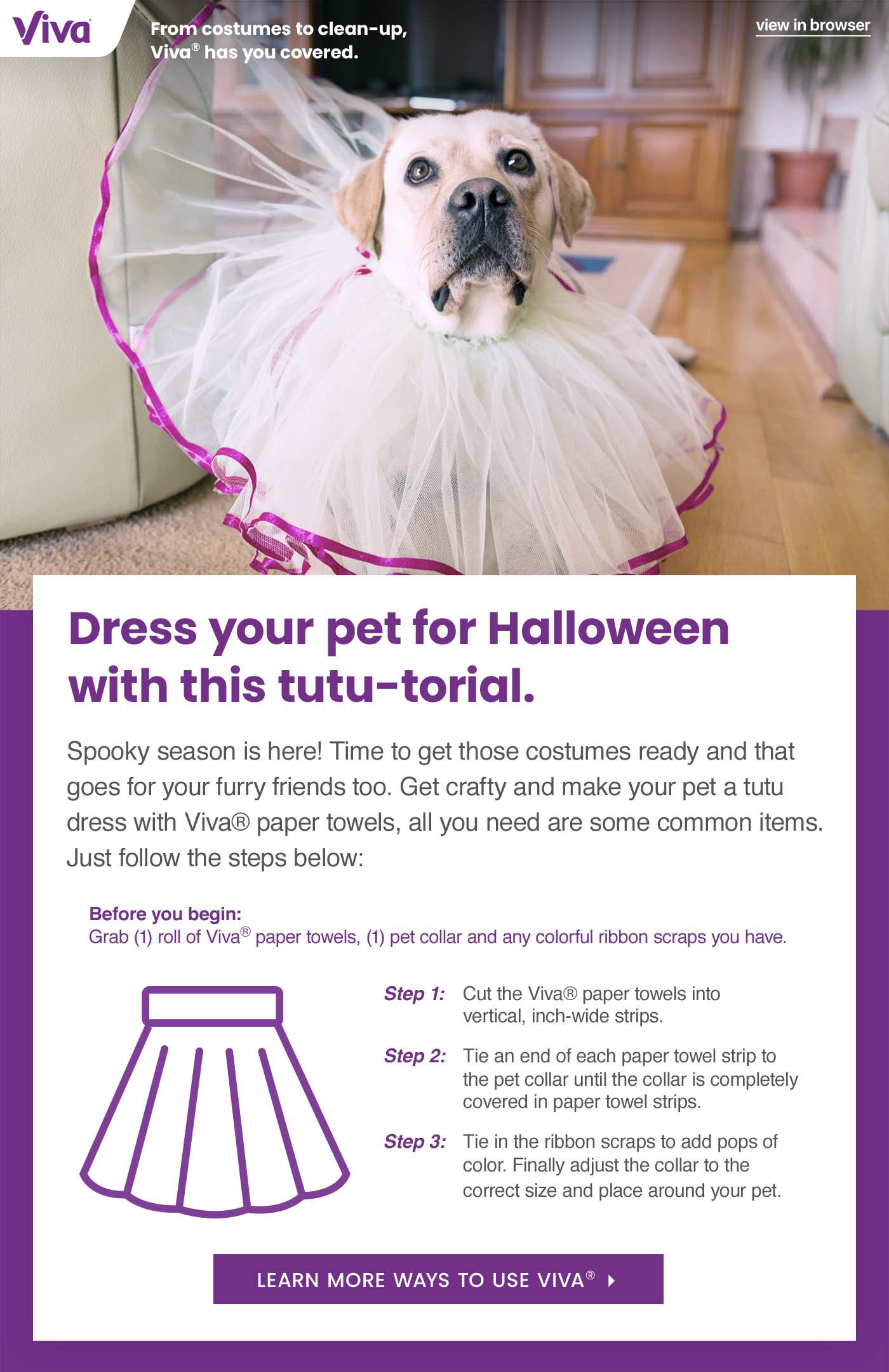 Target: Pet Owners