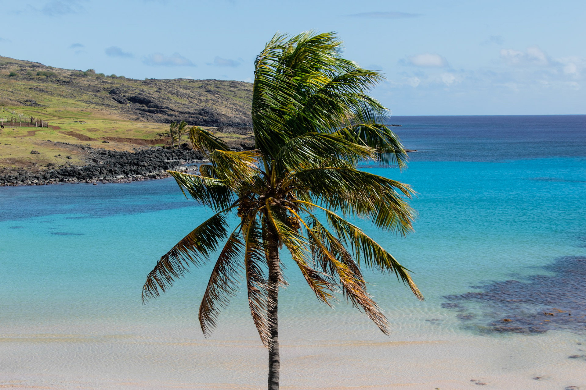 Anakena Beach