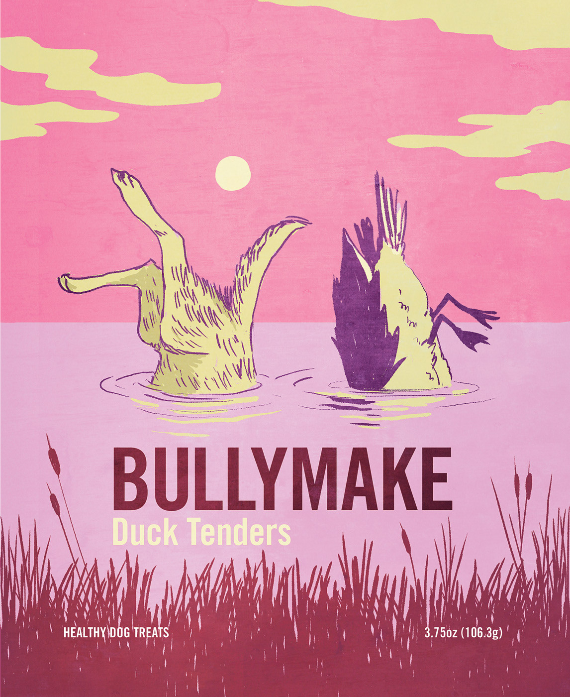 Michael Hirshon - Illustration - BULLYMAKE