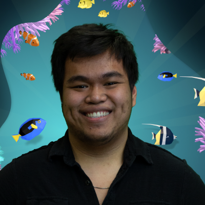 Kendrick Tay - Developer