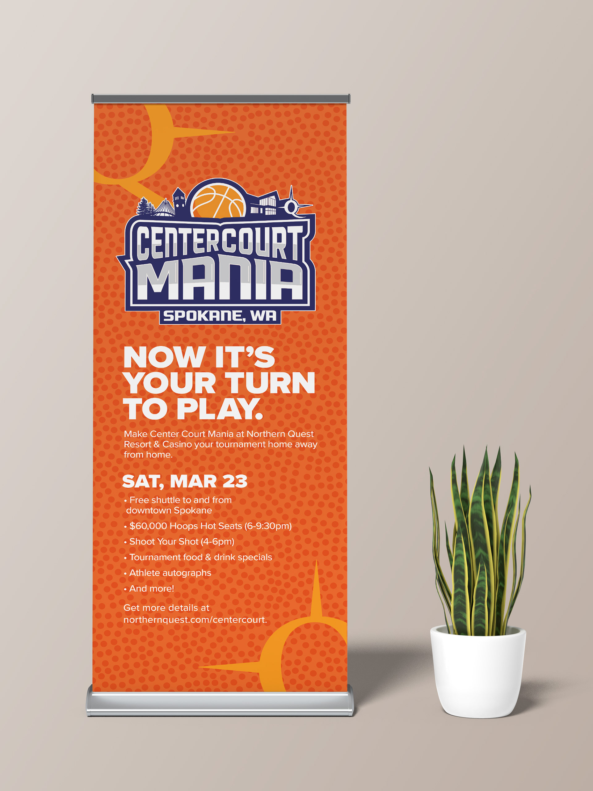 Roll-up Banner