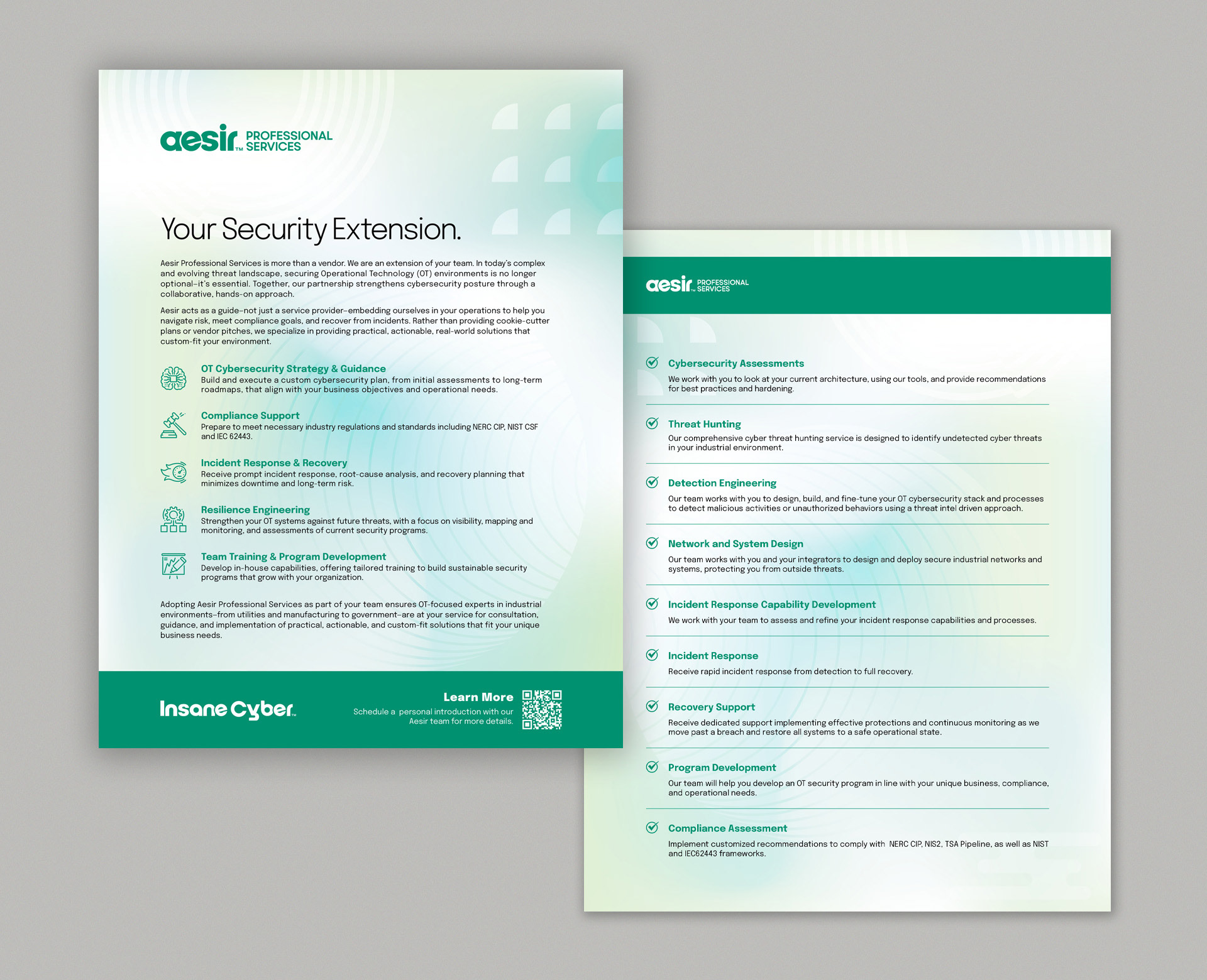 Sales sheet design for Aesir Professional Services.