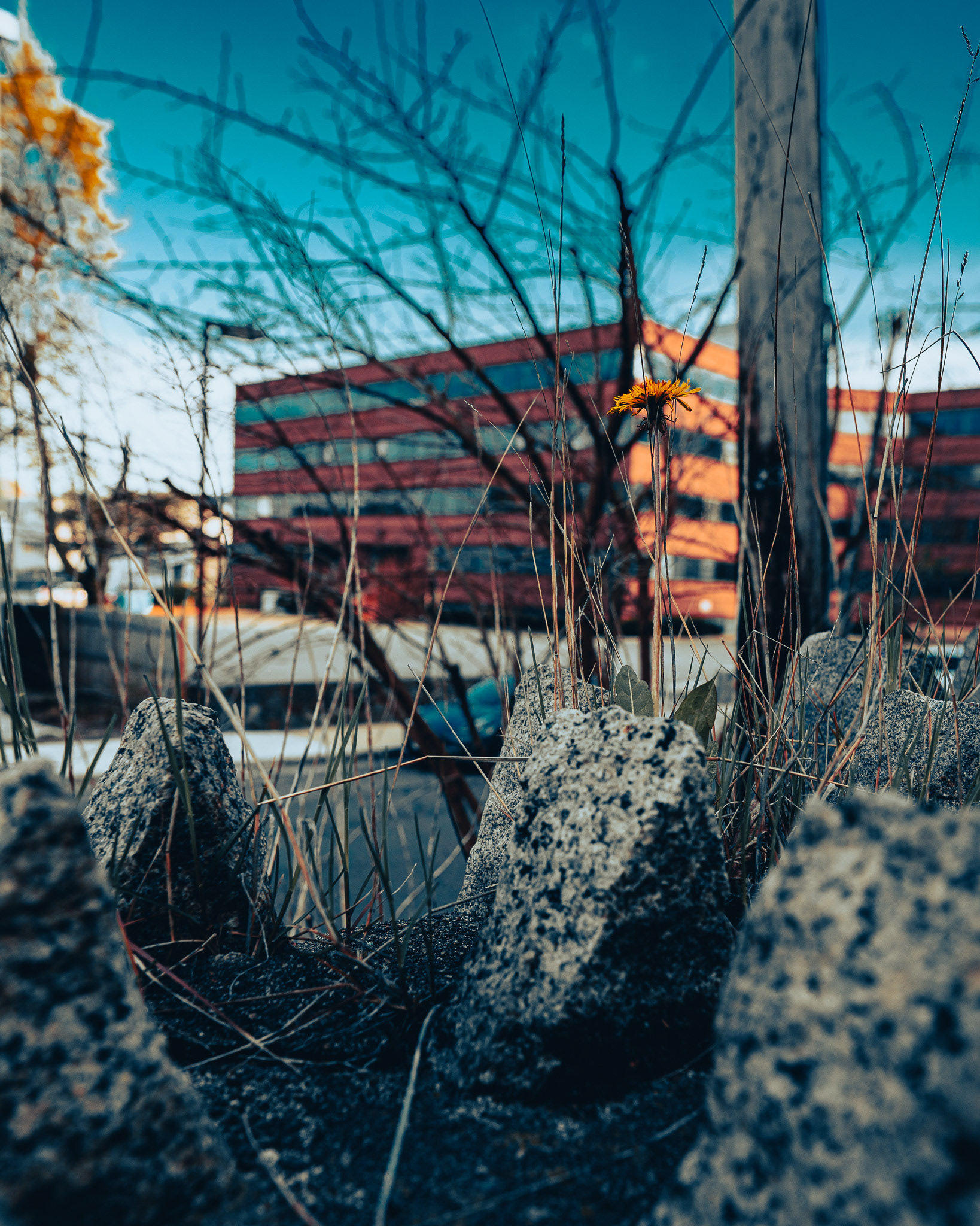 Allston - 4/22/25