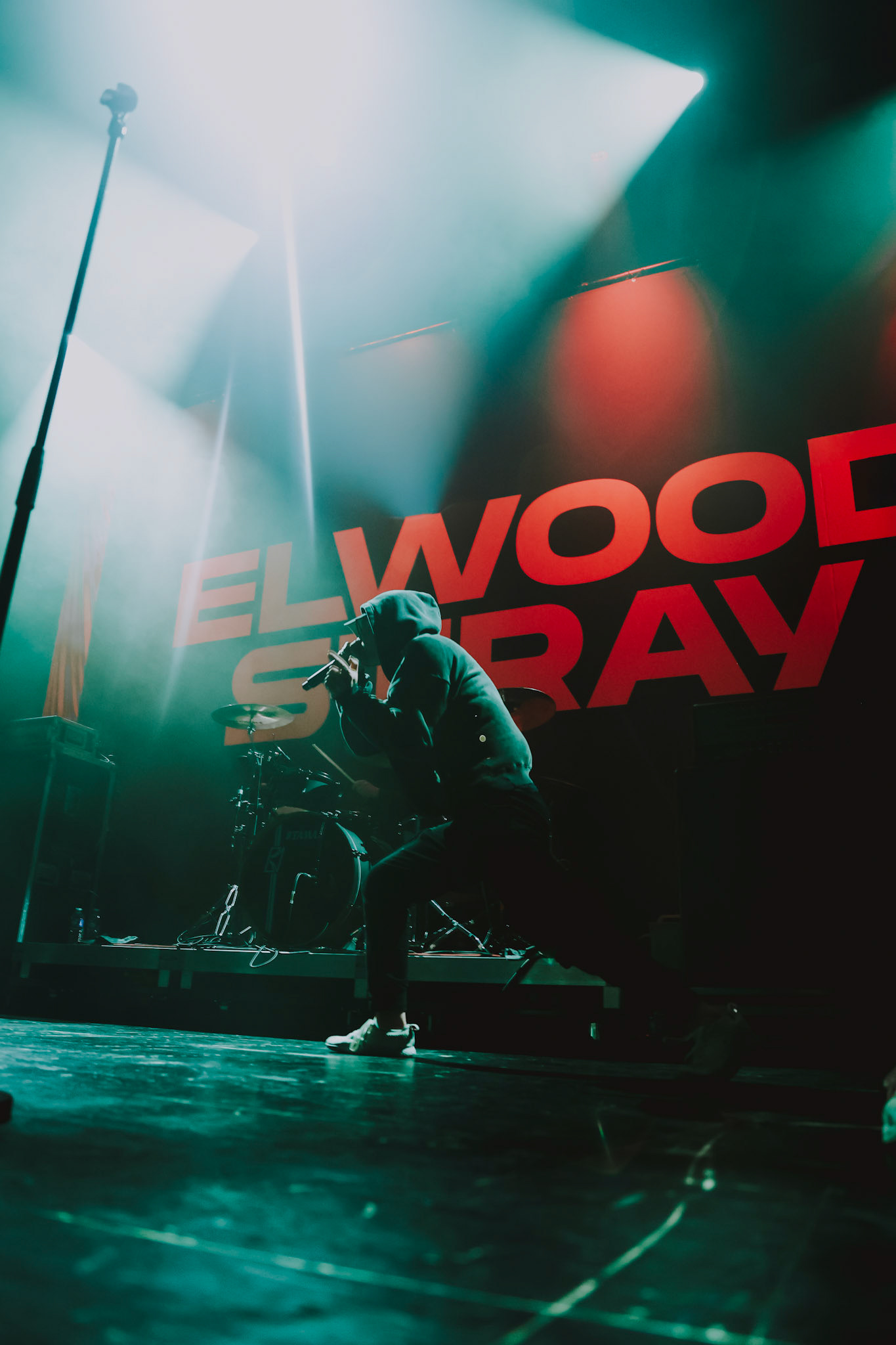 Elwood Stray