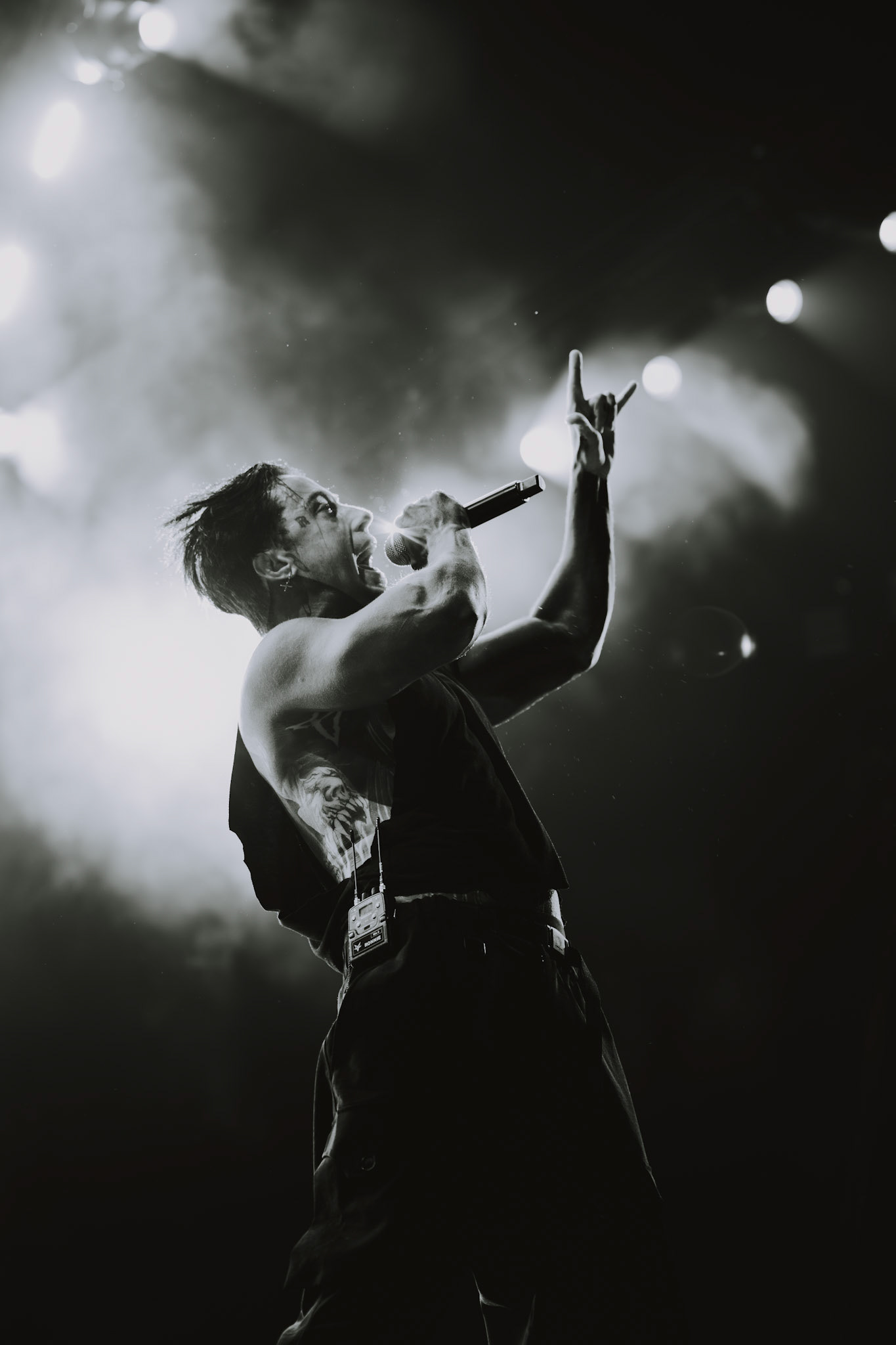 Falling in Reverse