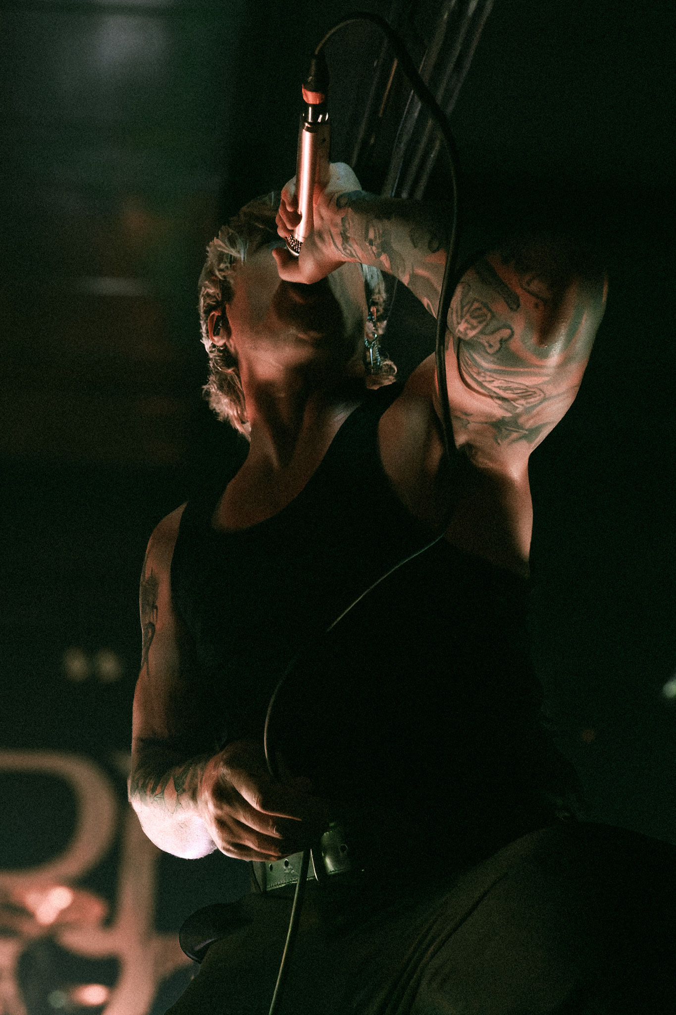 The Word Alive, 2026