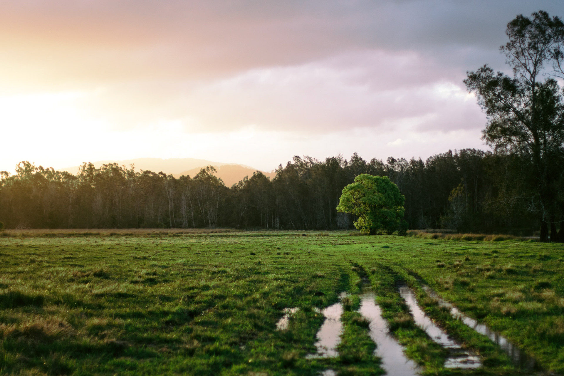 Failford, Canon 6D Mark II