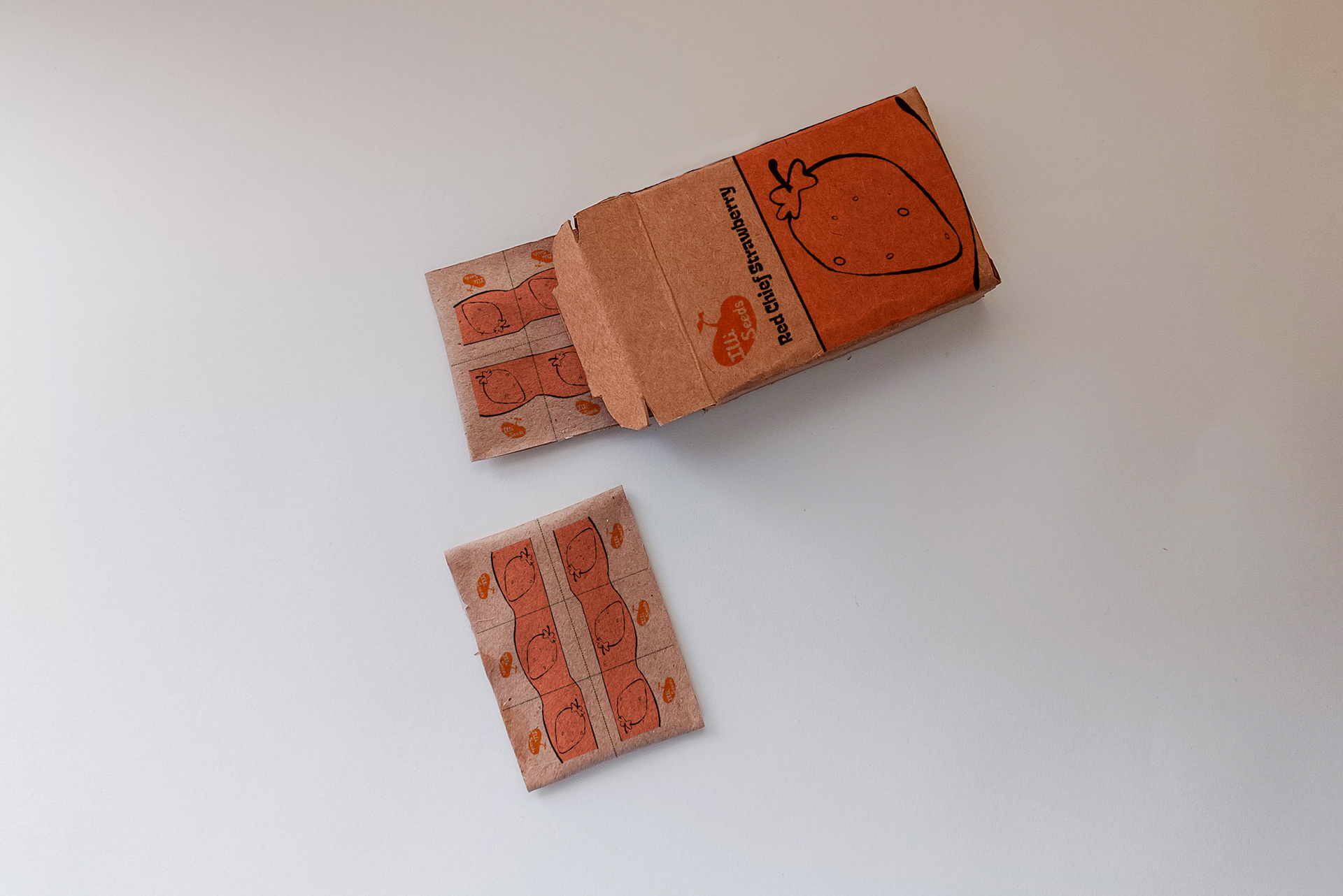Single Seed Packet and Box