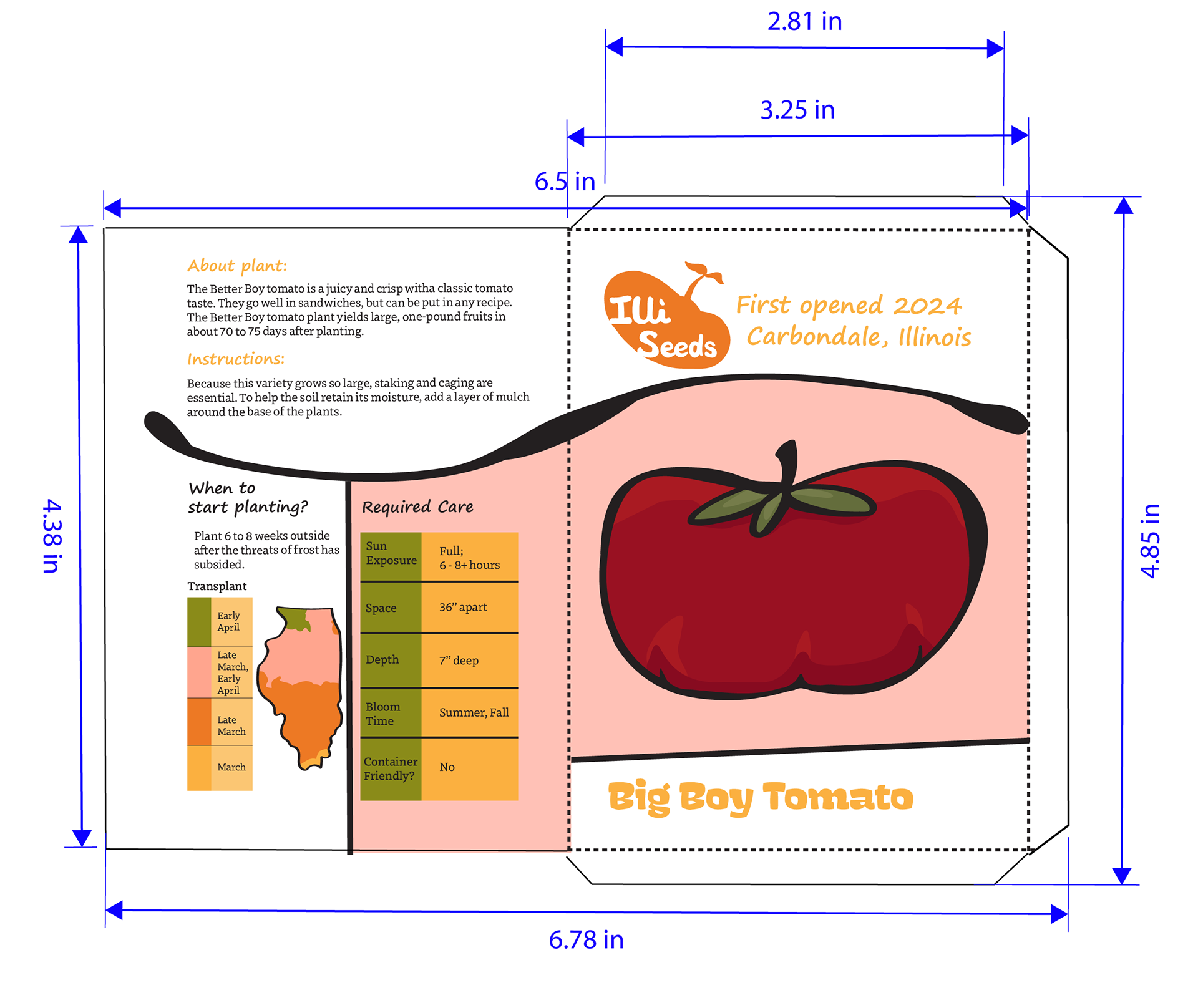 Regular seed packet