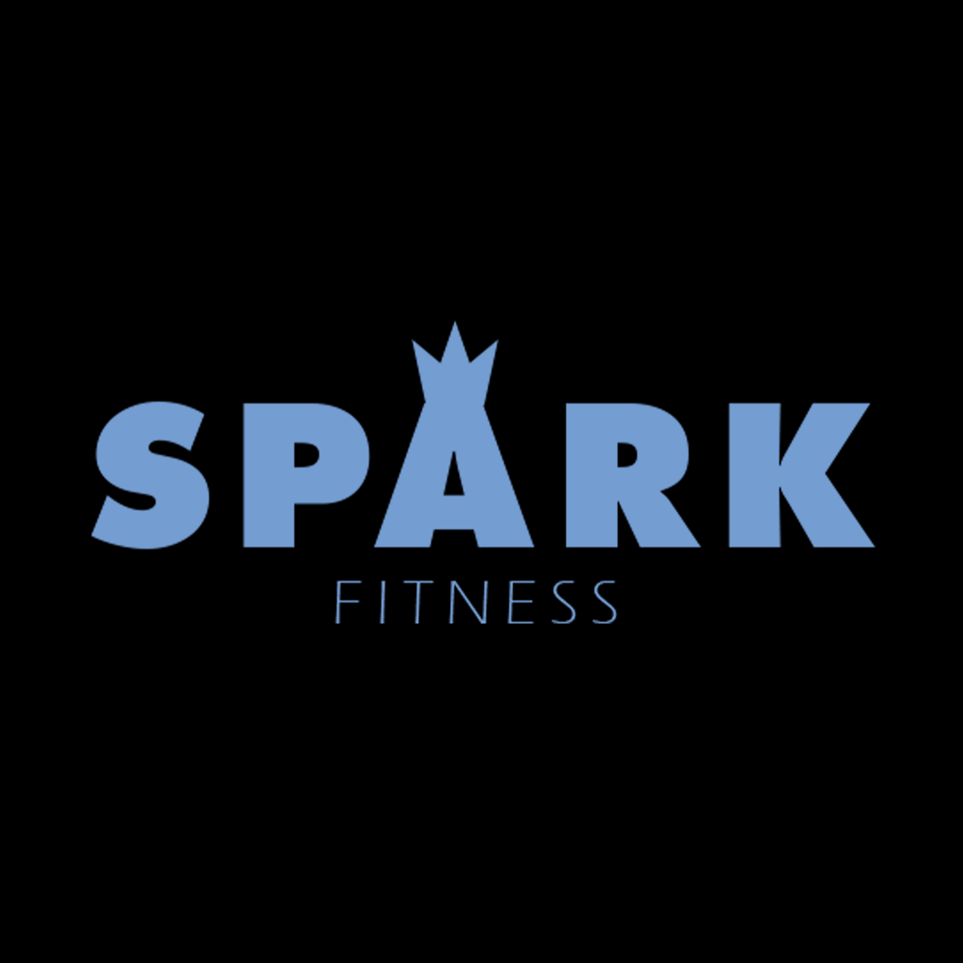 An original logo concept for an exercise equipment company.