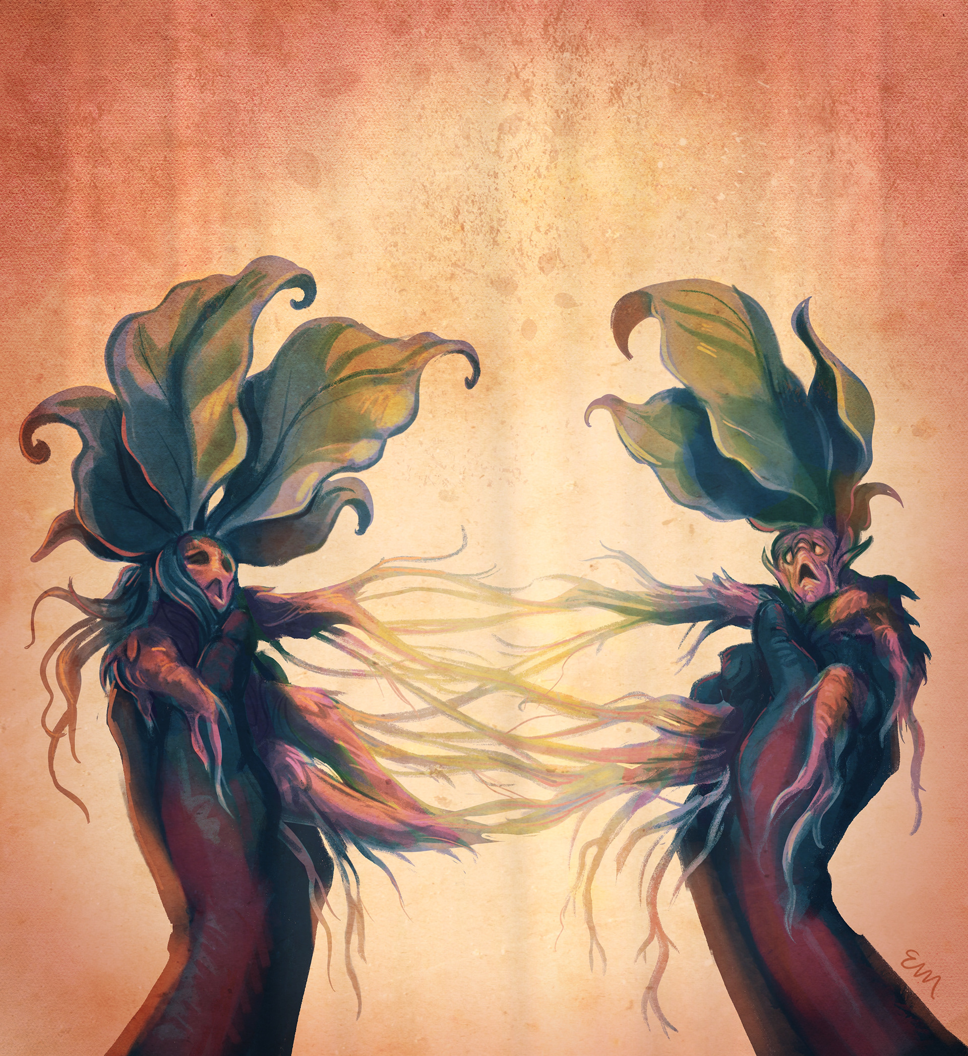 Mandrakes