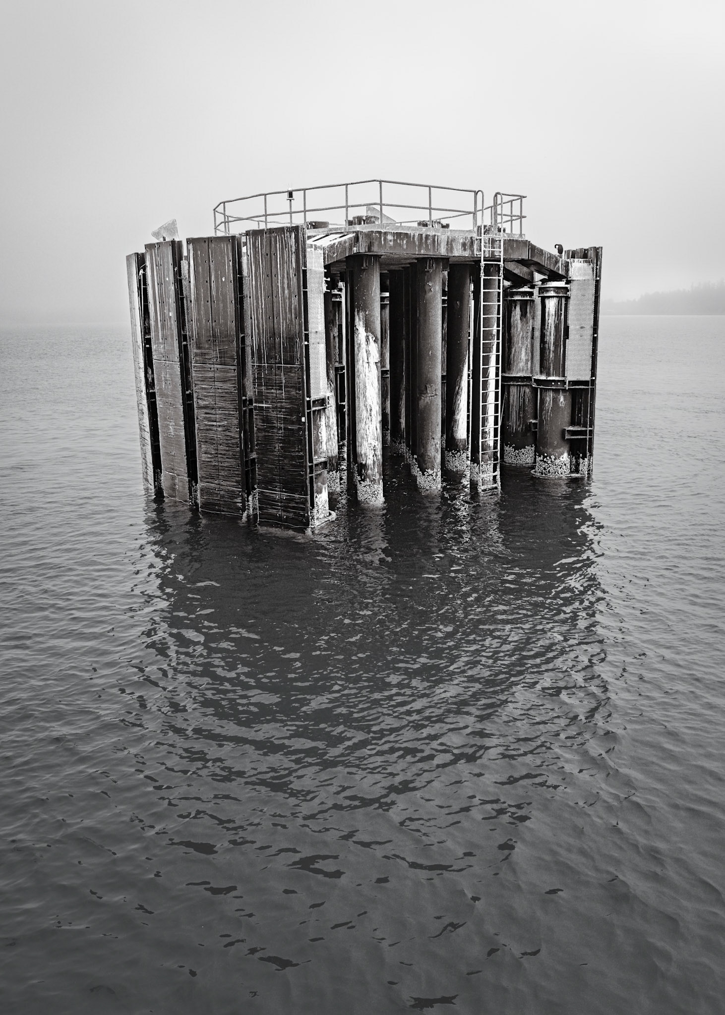 FerryDockPiling Anacortes, Aug2026