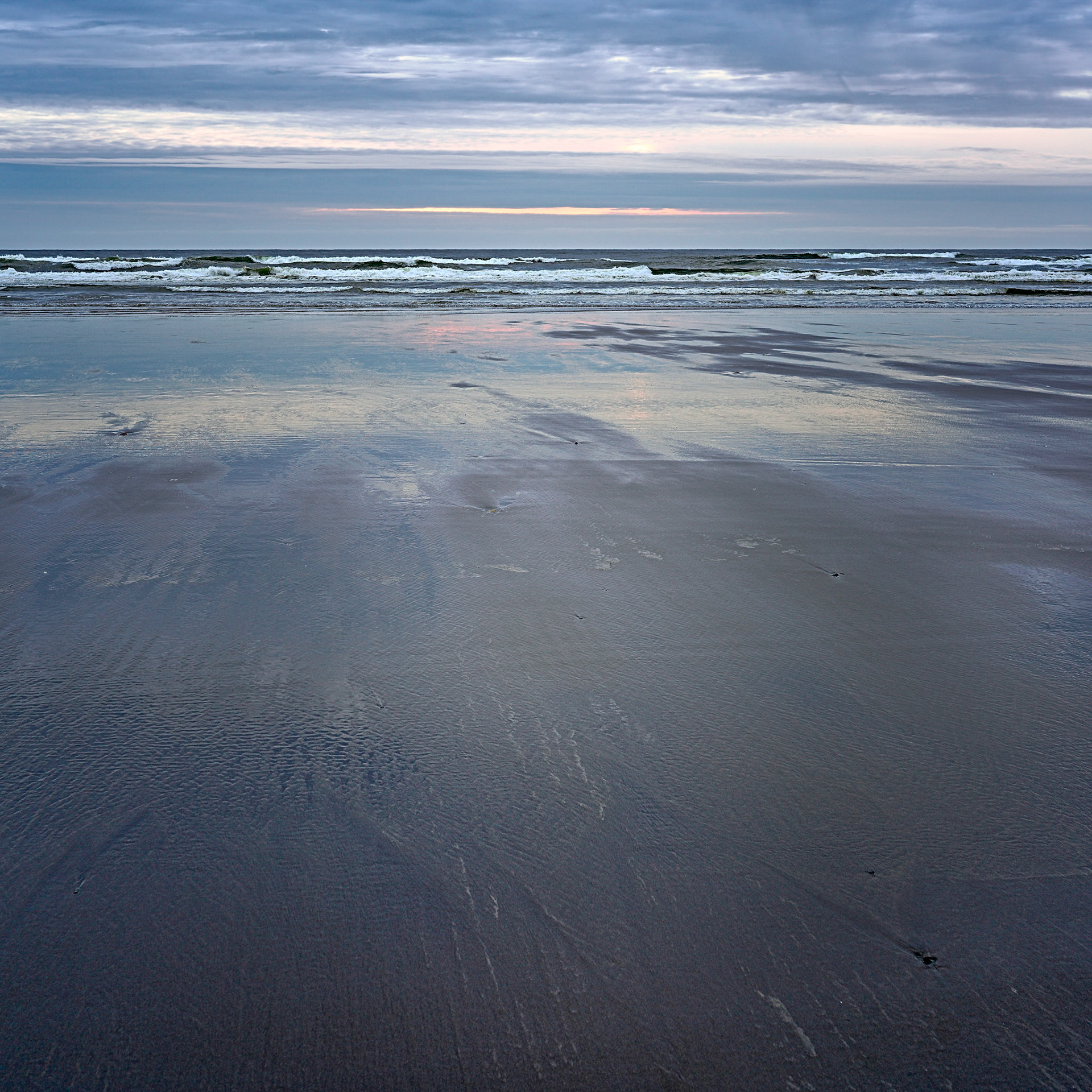 Long Beach, WA  April, 2019